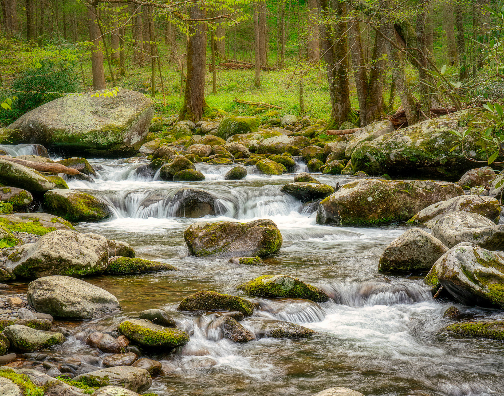 Tremont area stream