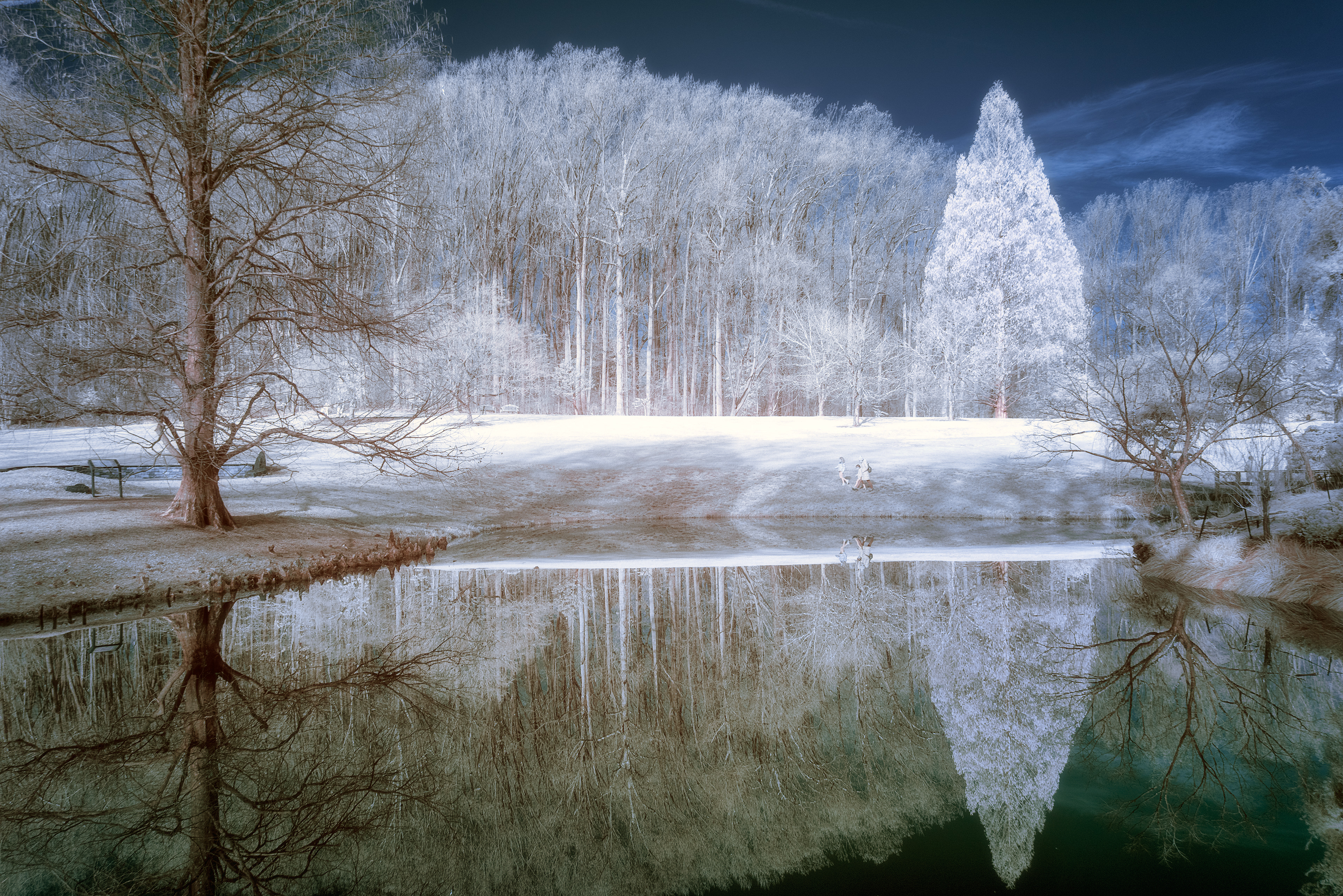 Reflections in faux color