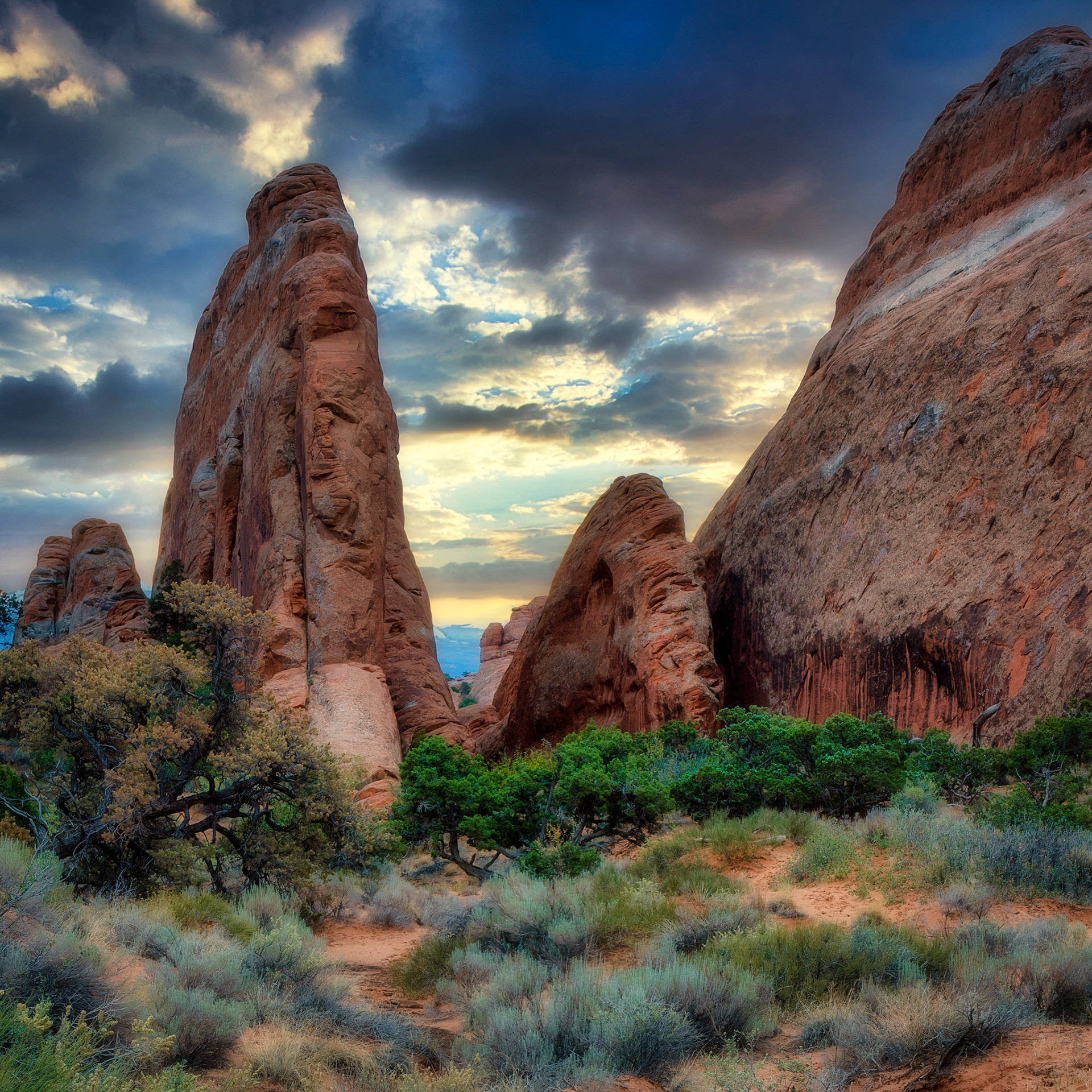 Devil's Garden