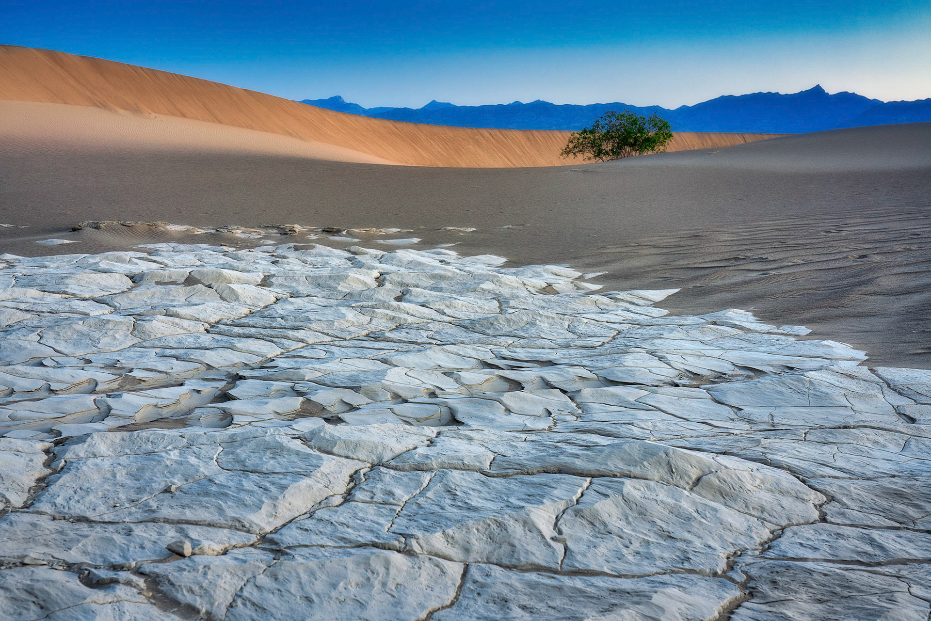 Mud cracks and sand dunes