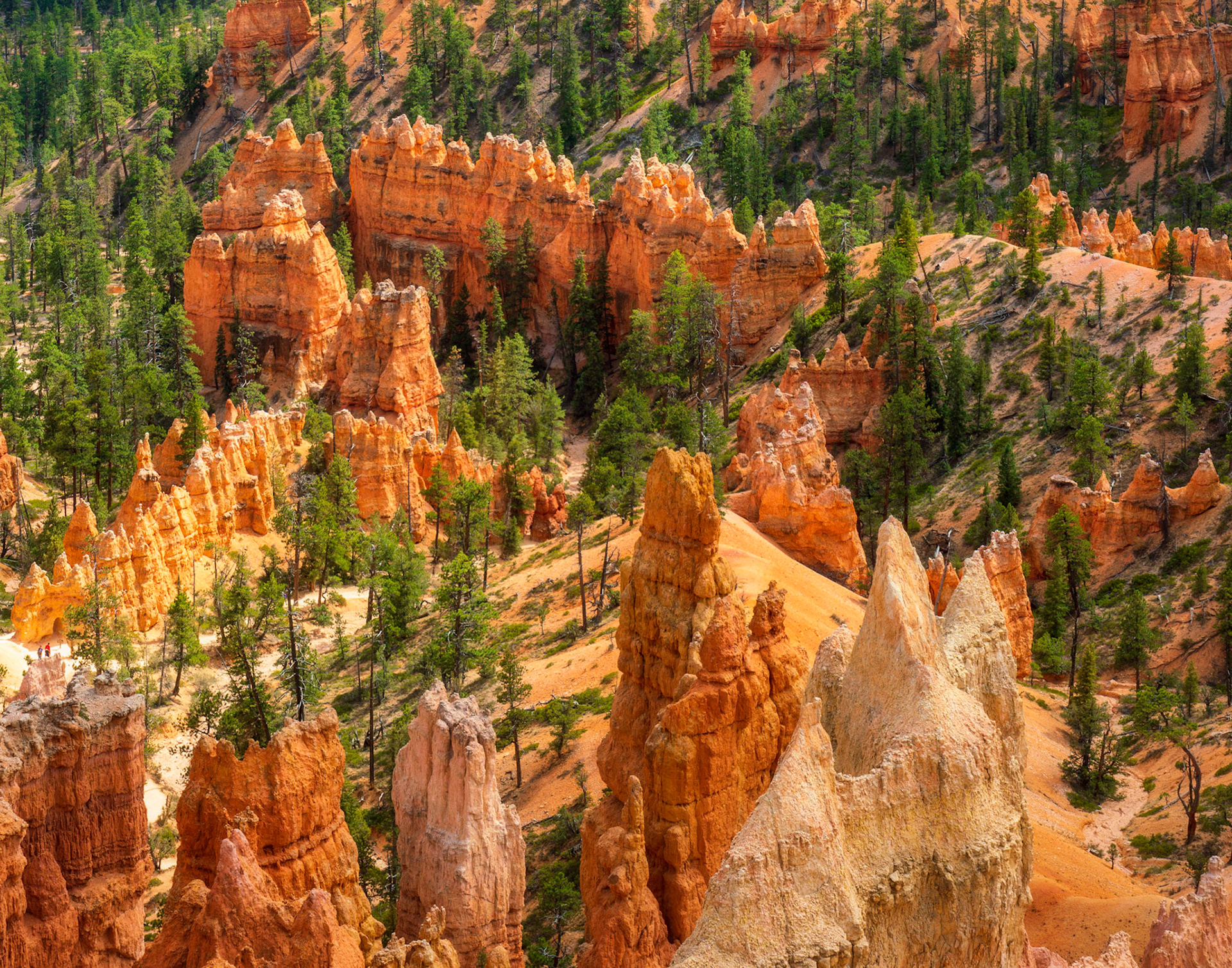 Hoodoos