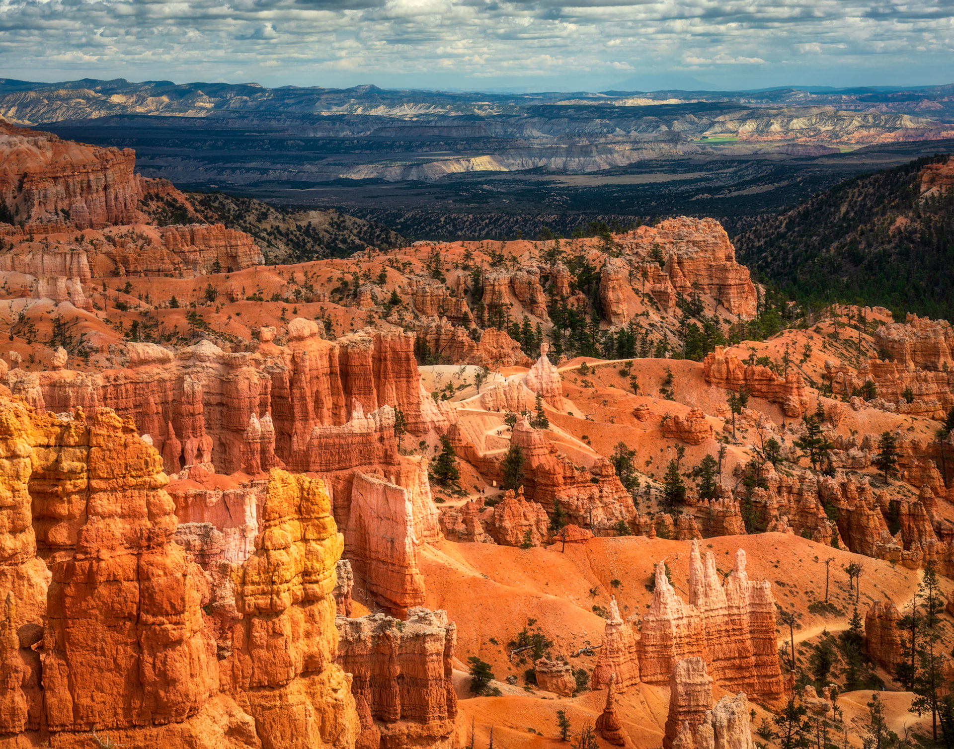 Bryce hoodoos
