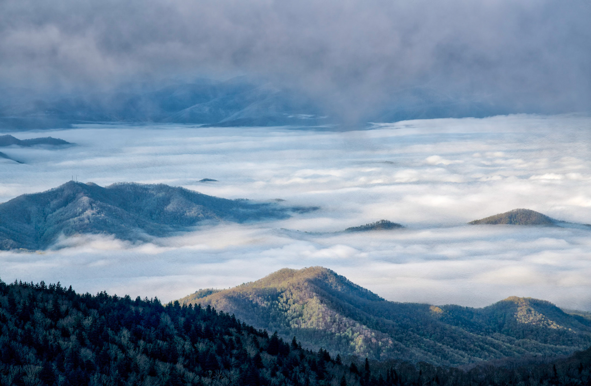 Foggy Smokies
