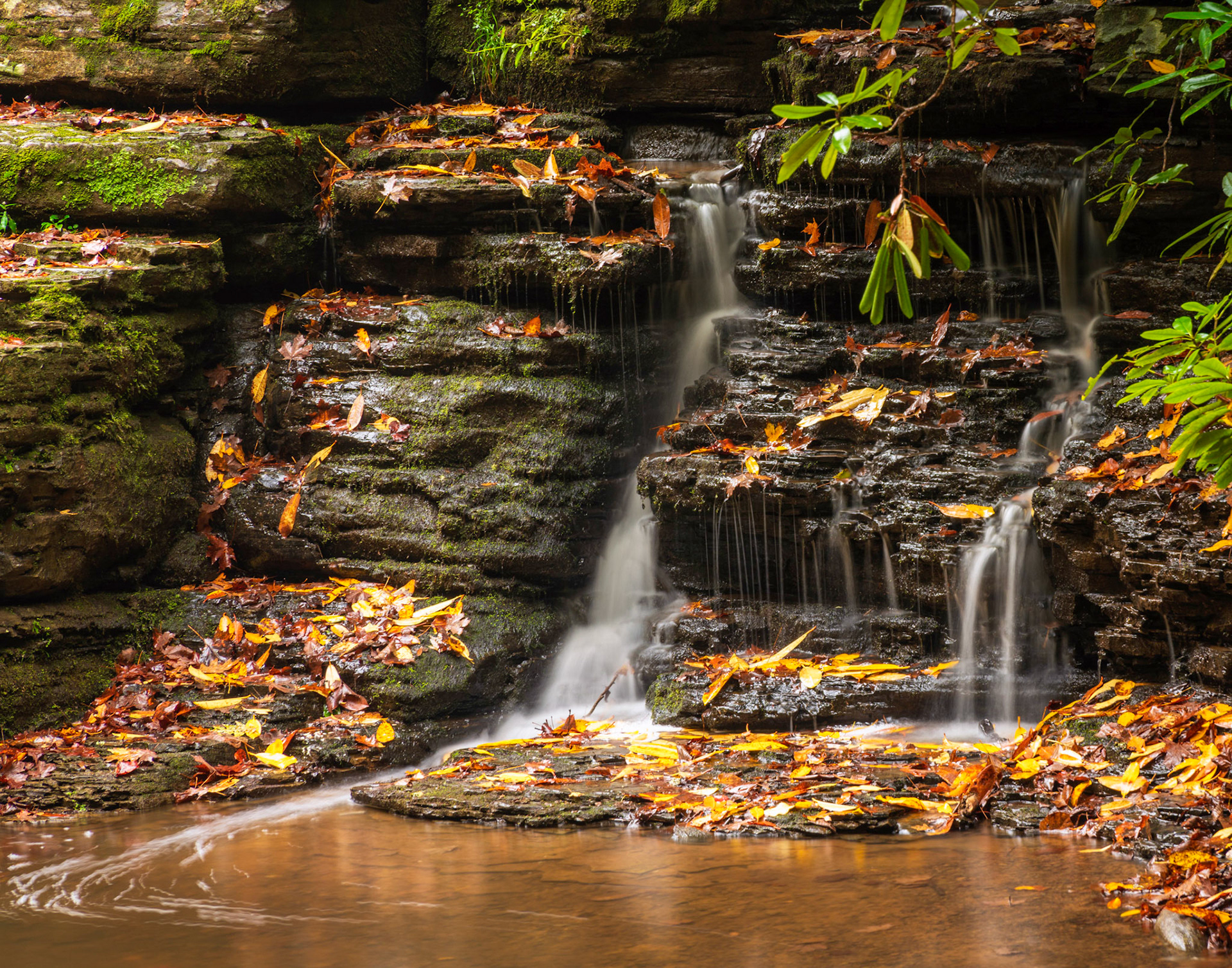 Leaves and waterfalls