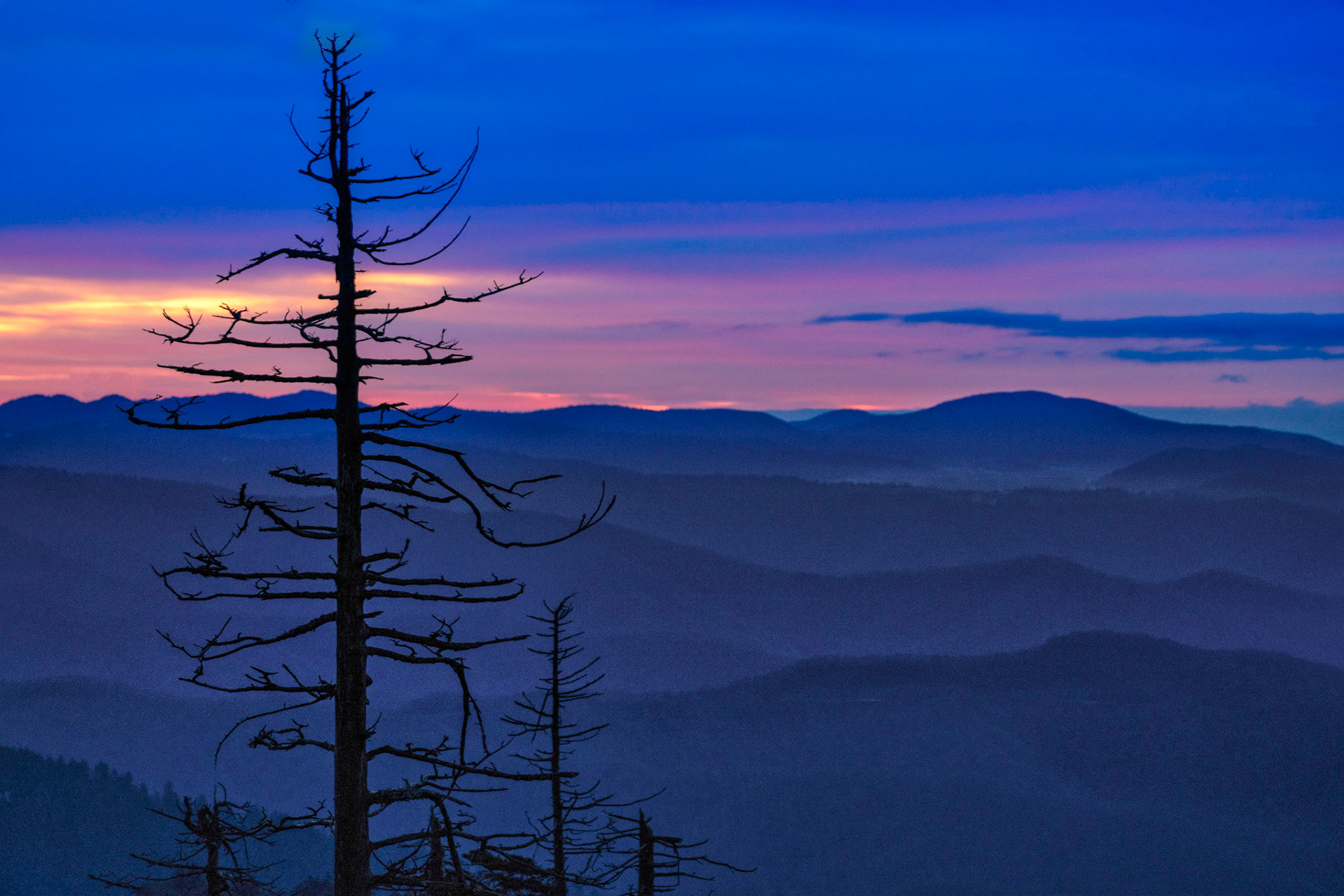 Smokies sunrise