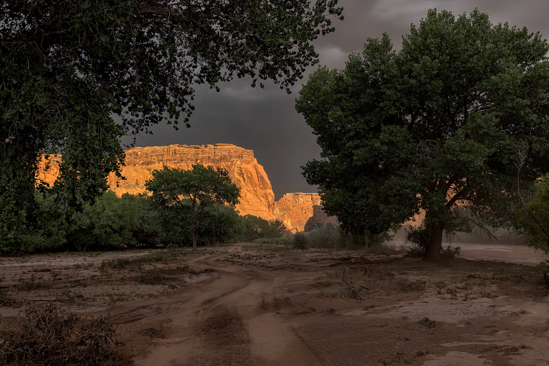 Canyon de Chelly, AZ
