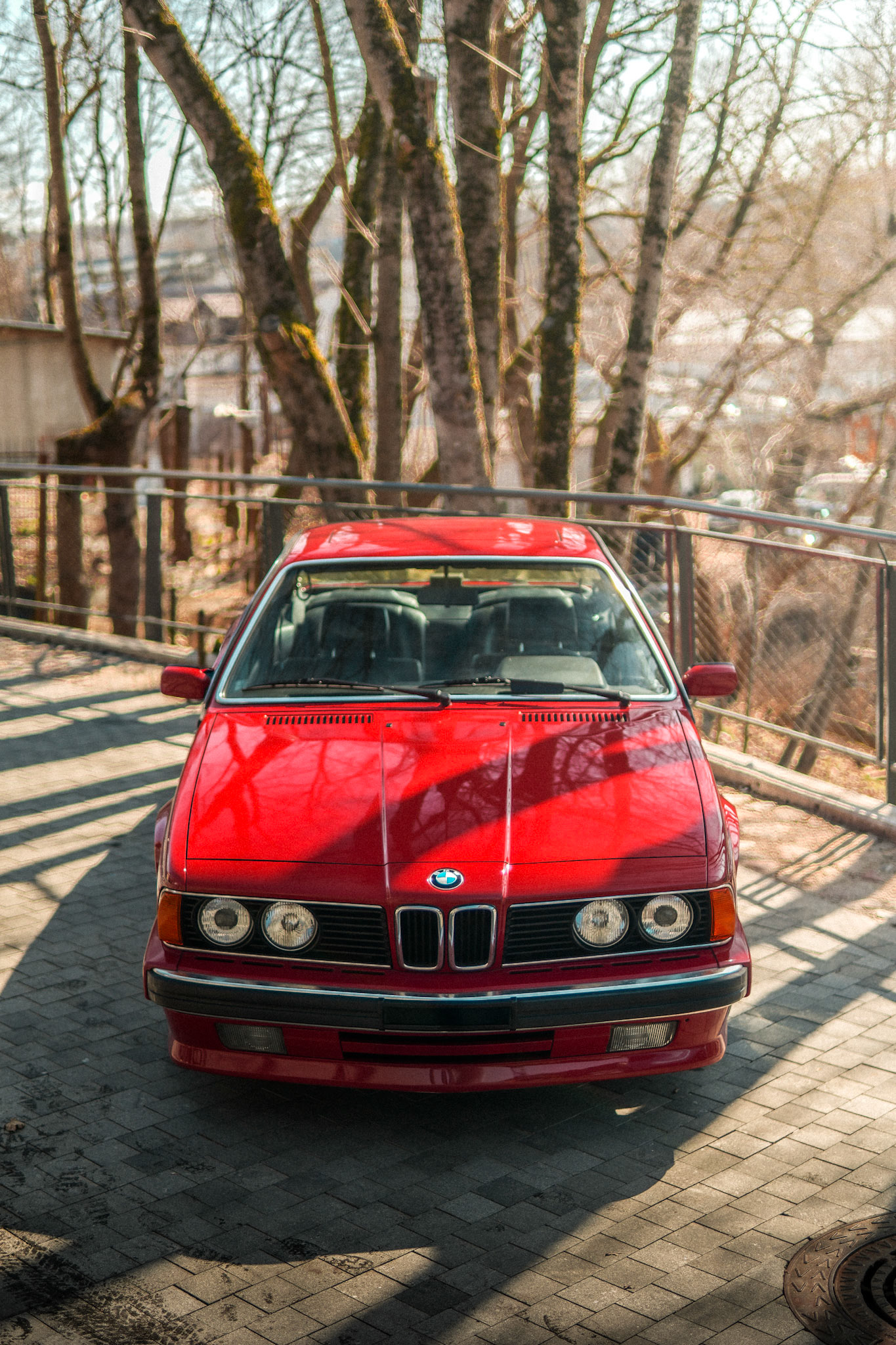 BMW E24