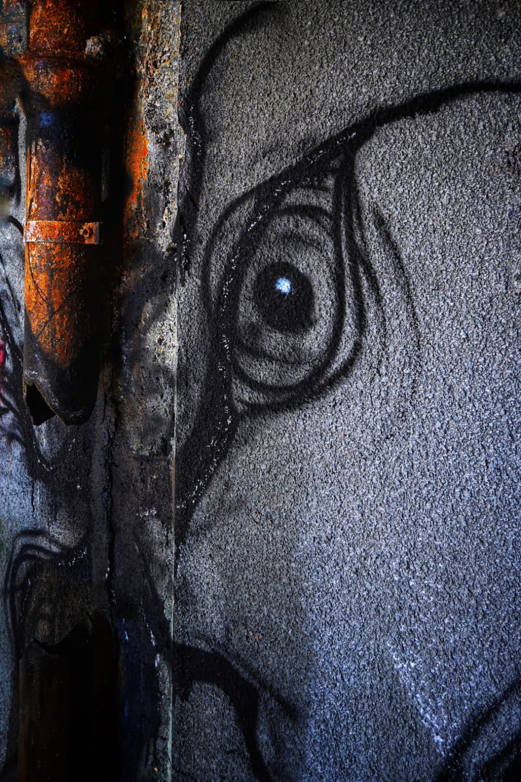 © MAR.SEL