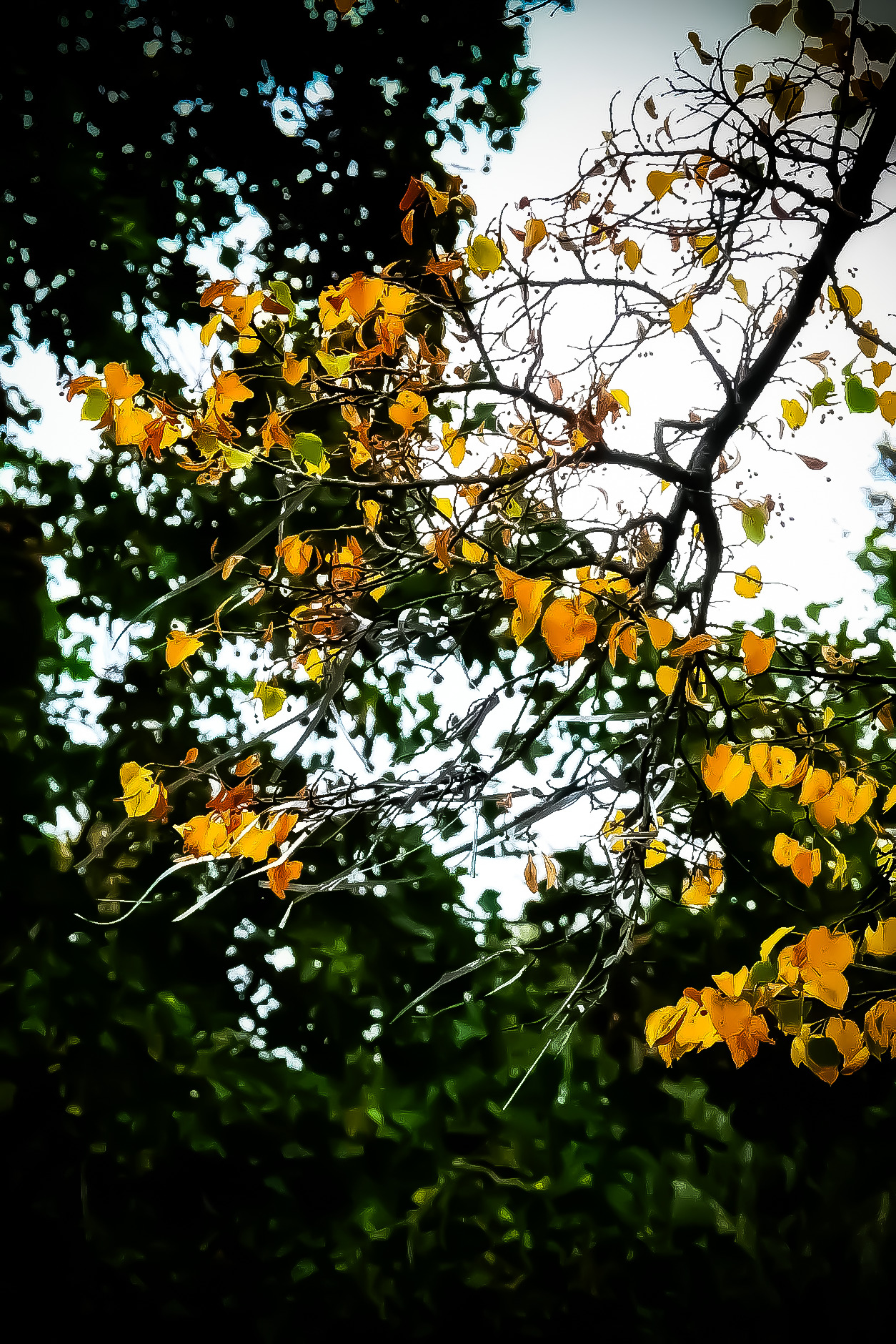 "Wees jezelf en geef de wereld een slinger" - Loesje - Foto © MAR.SEL