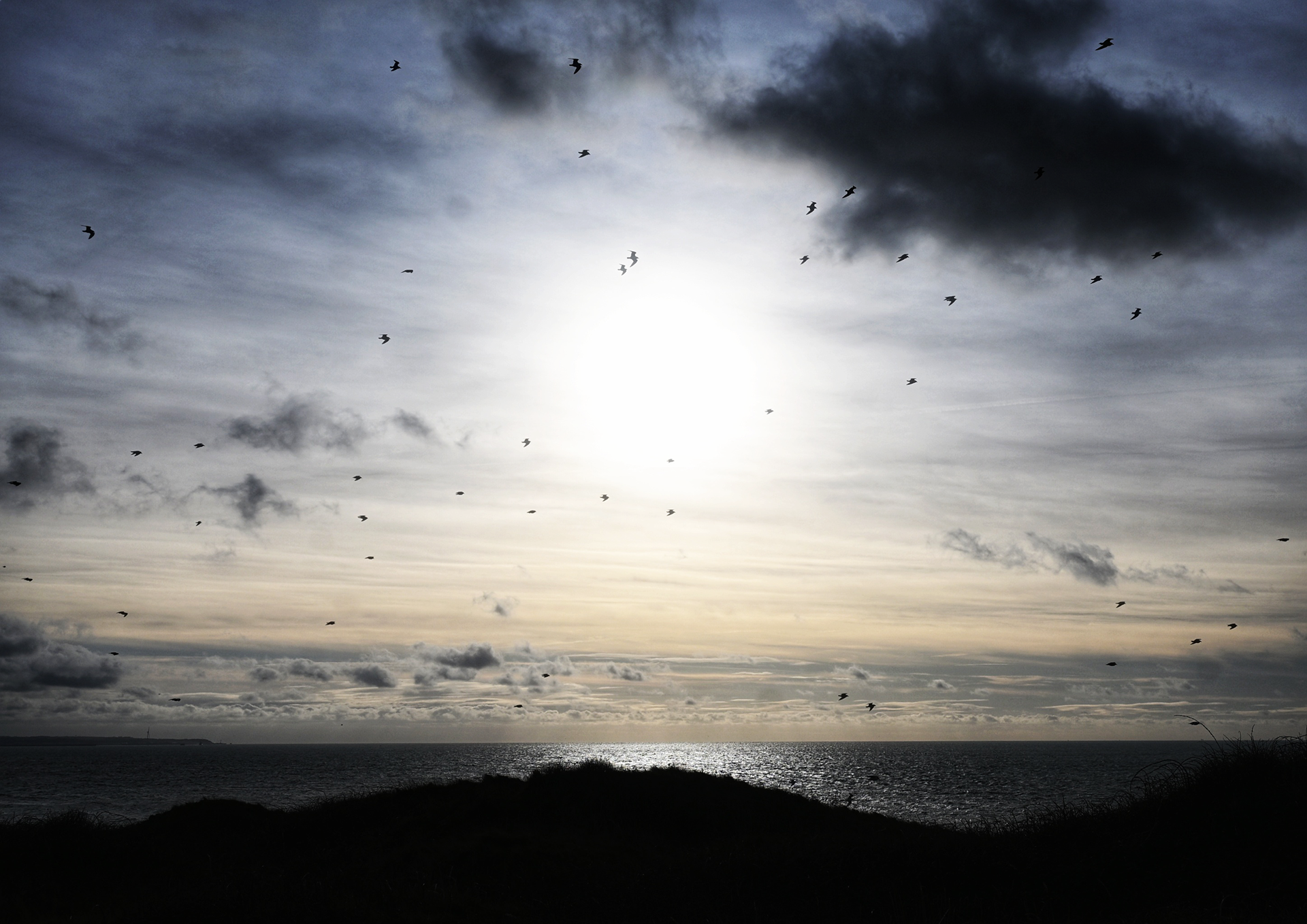 Volg de zon - © MAR.SEL