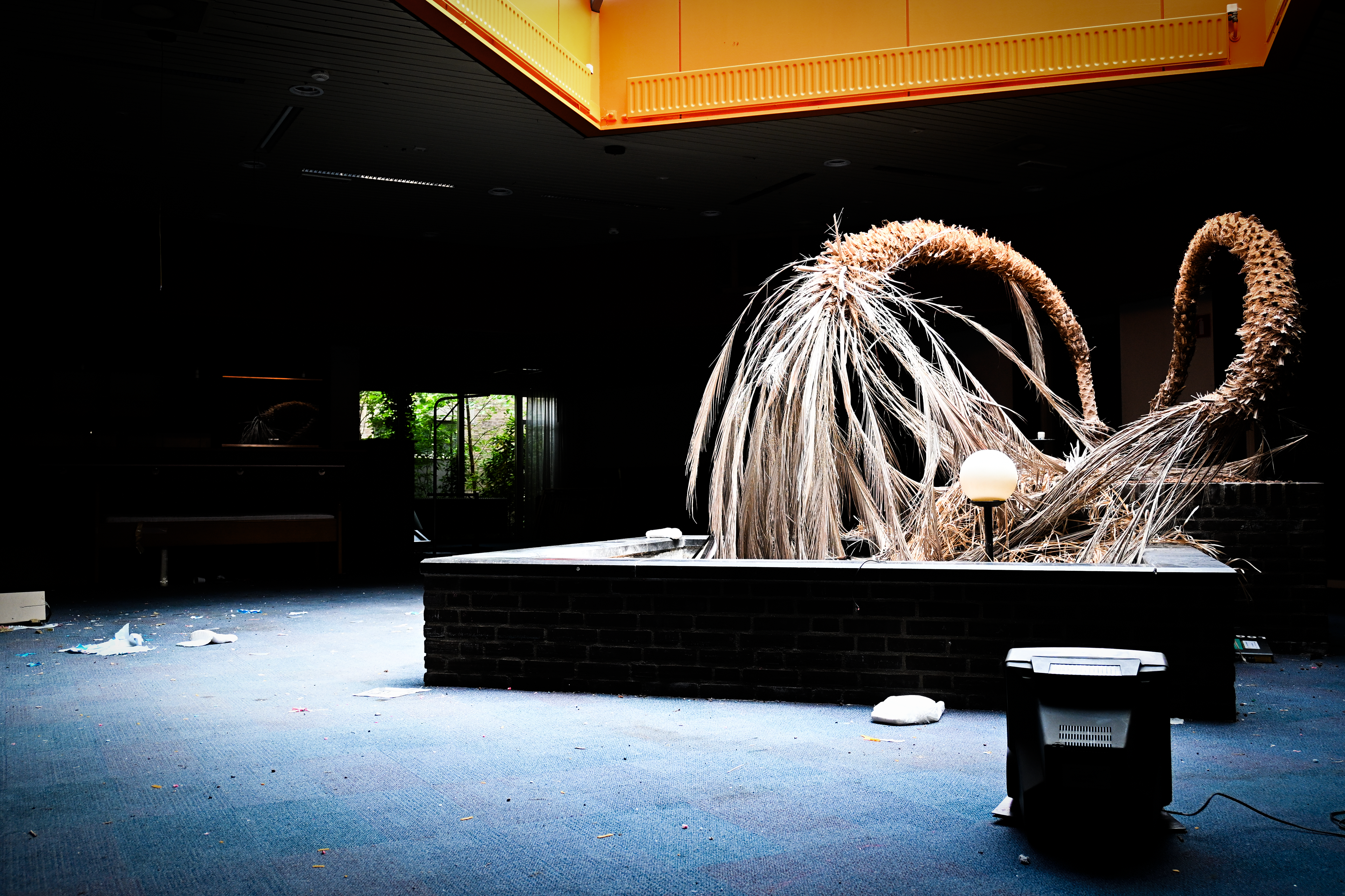 Treurende palm - © MAR.SEL