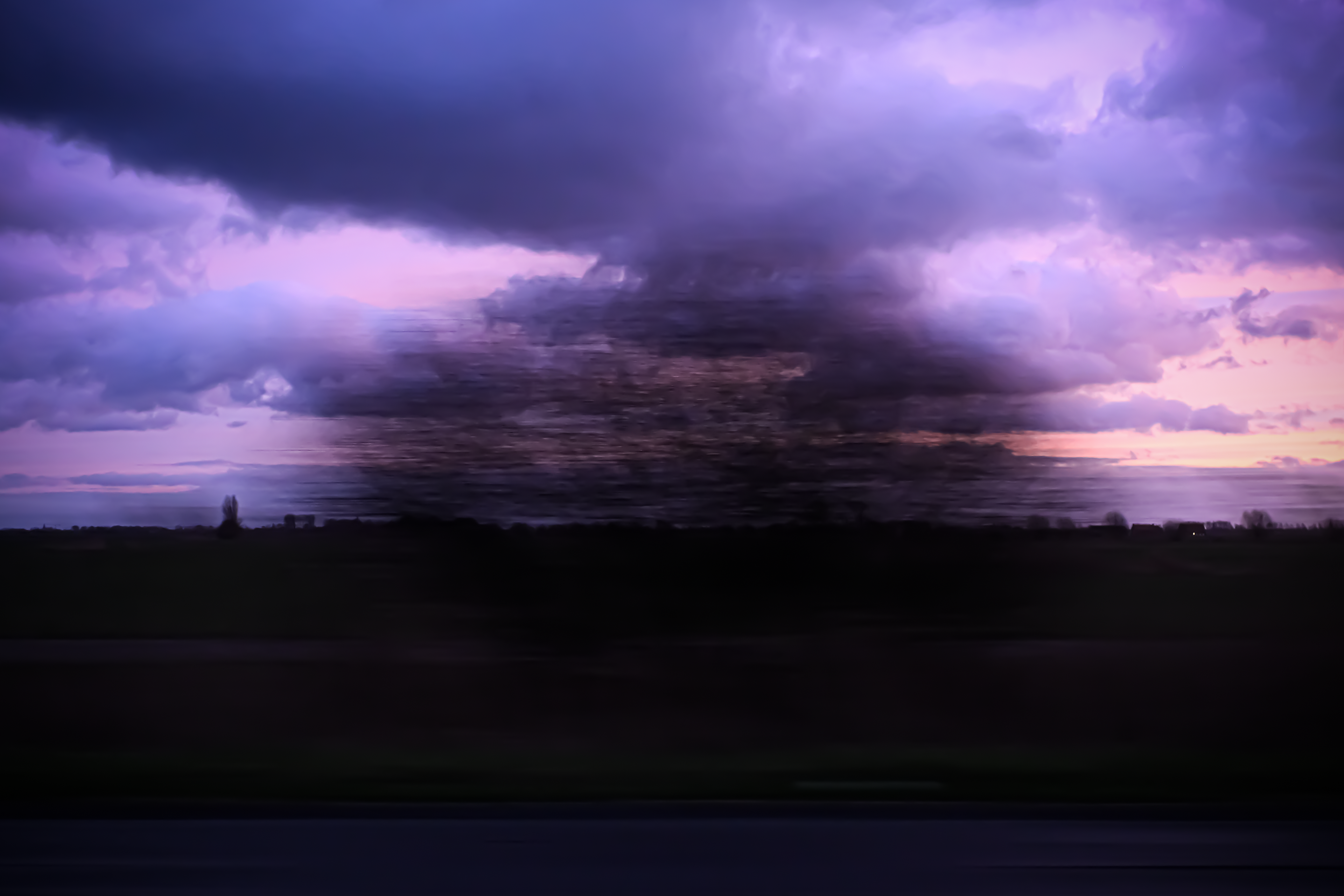 Volle vlucht - © MAR.SEL