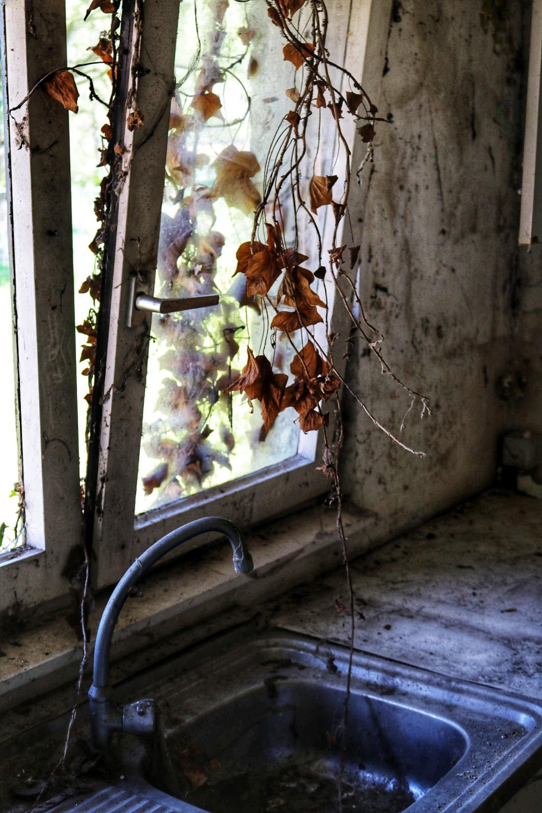 Indringer - © MAR.SEL