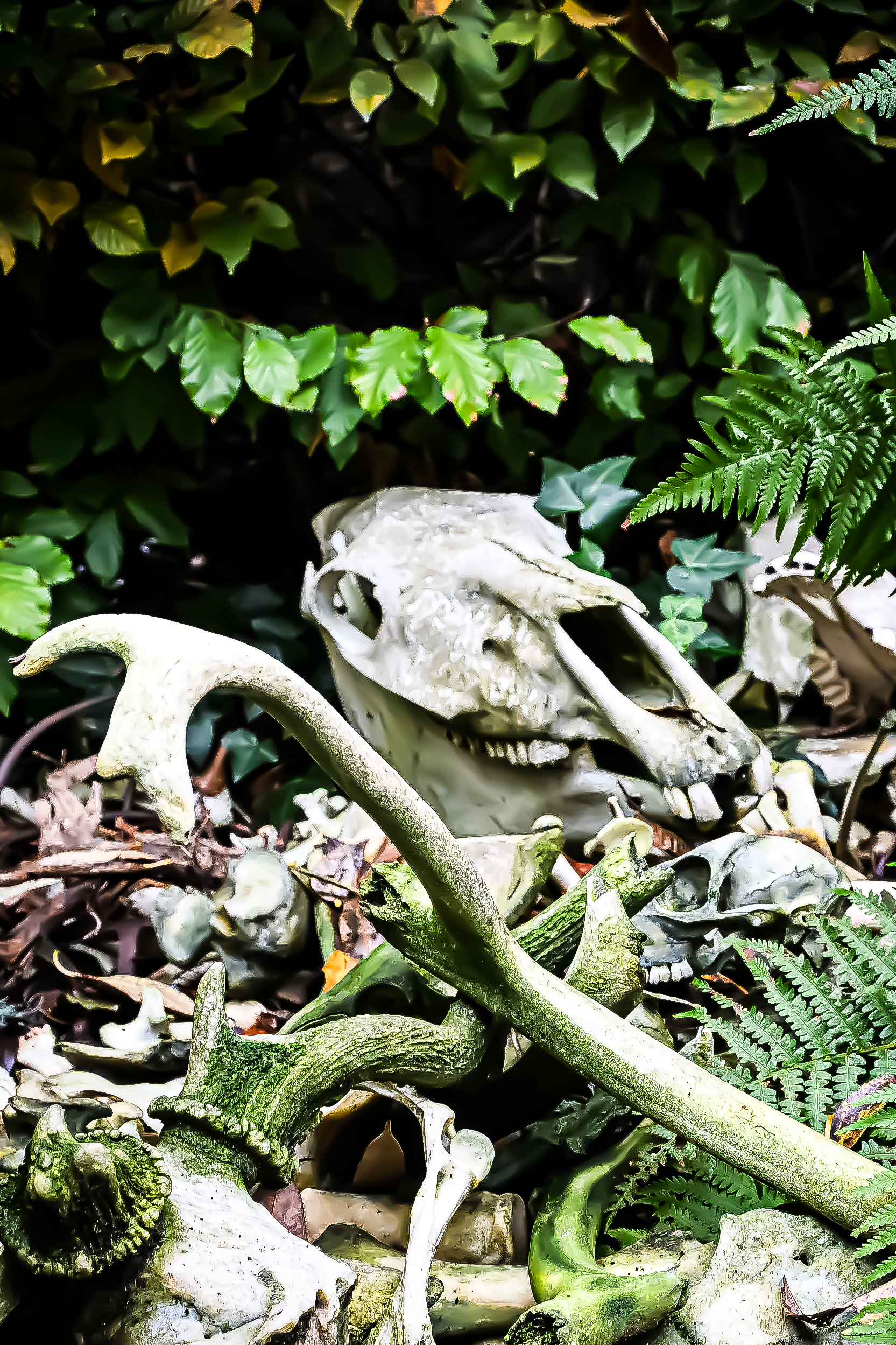 "Kan niet ligt op het kerkhof en wil niet ligt er naast." - onbekend - Foto © MAR.SEL