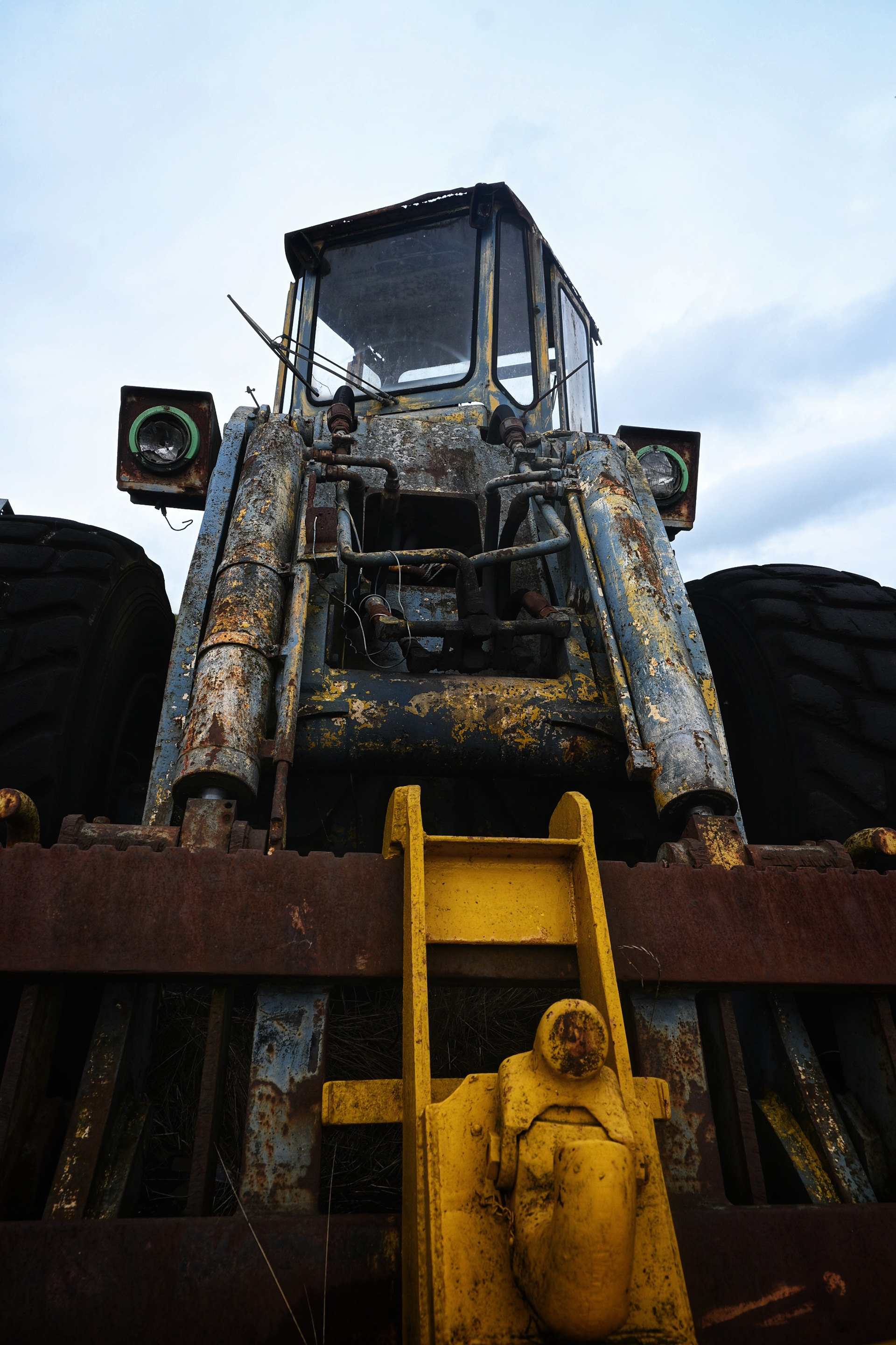 Graaf graag - © MAR.SEL