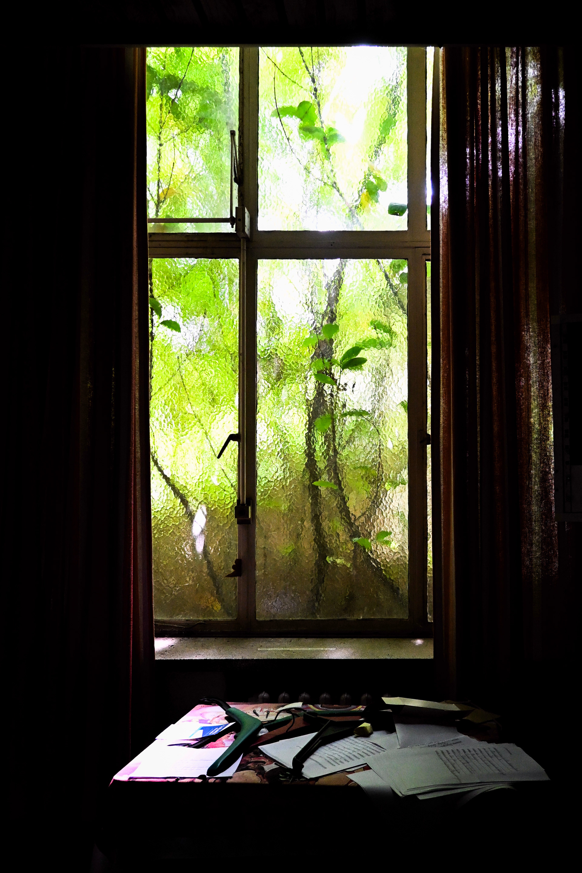  Jungleraam - © MAR.SEL