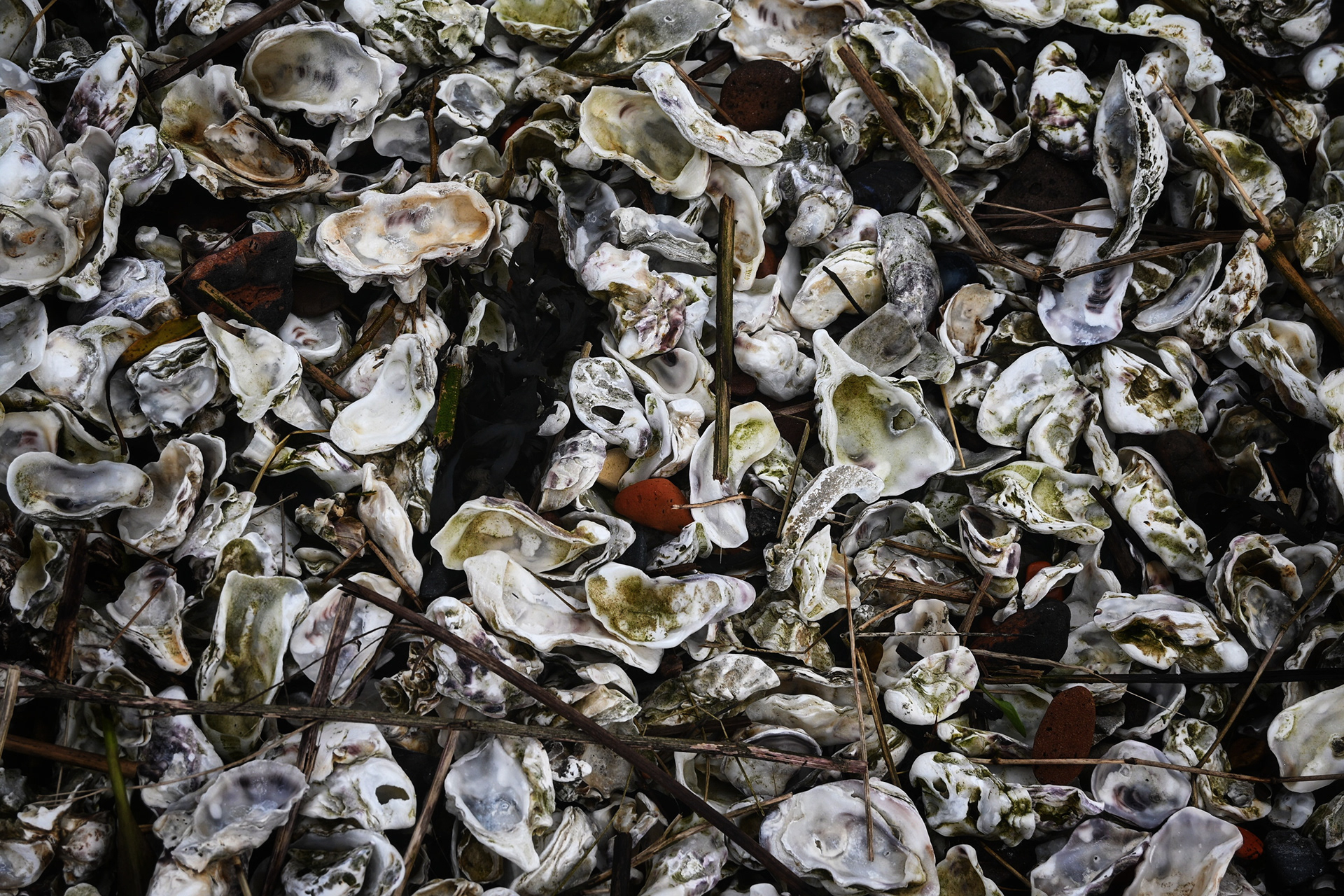 Kerkhof - © MAR.SEL