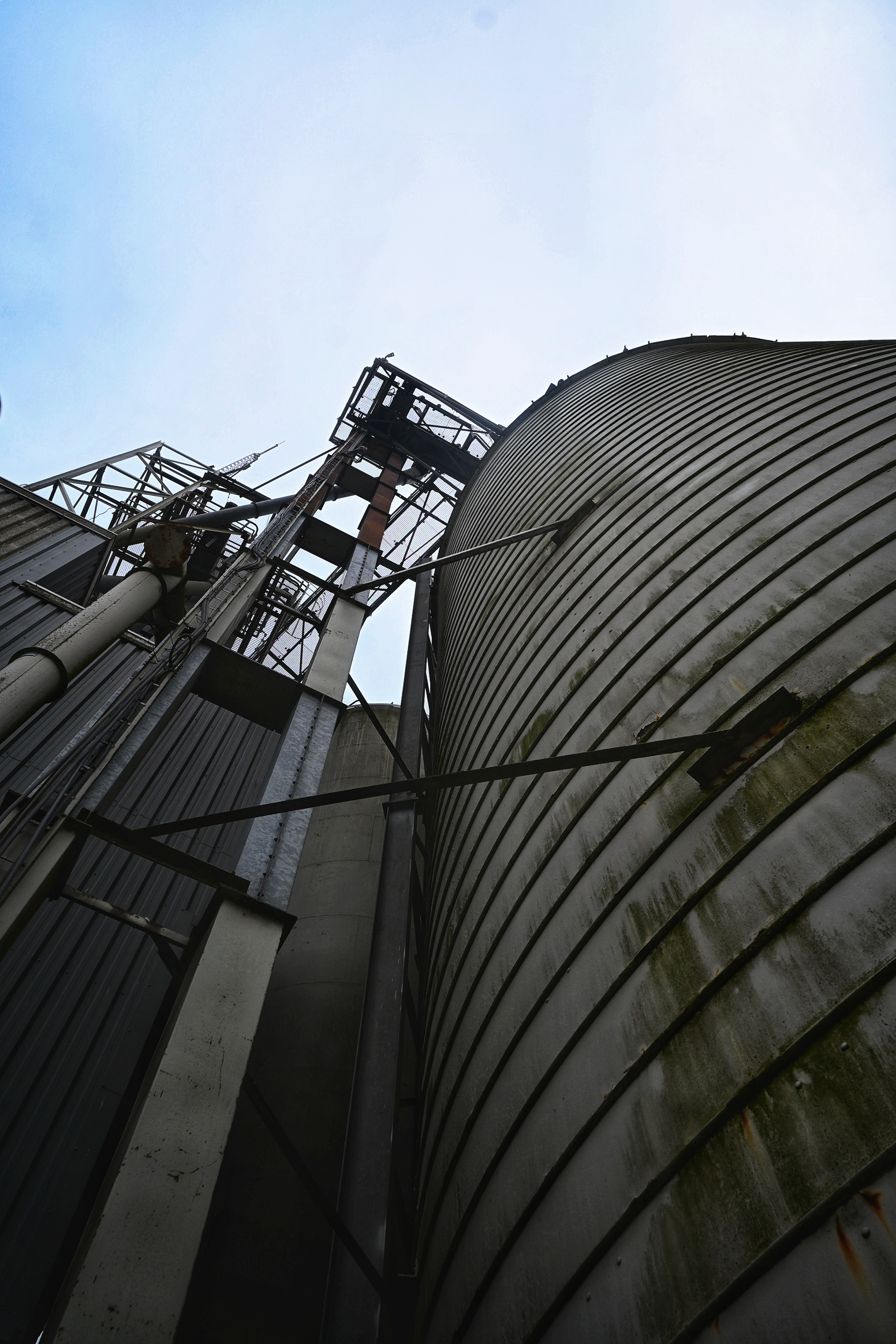 Om-Hoog - © MAR.SEL