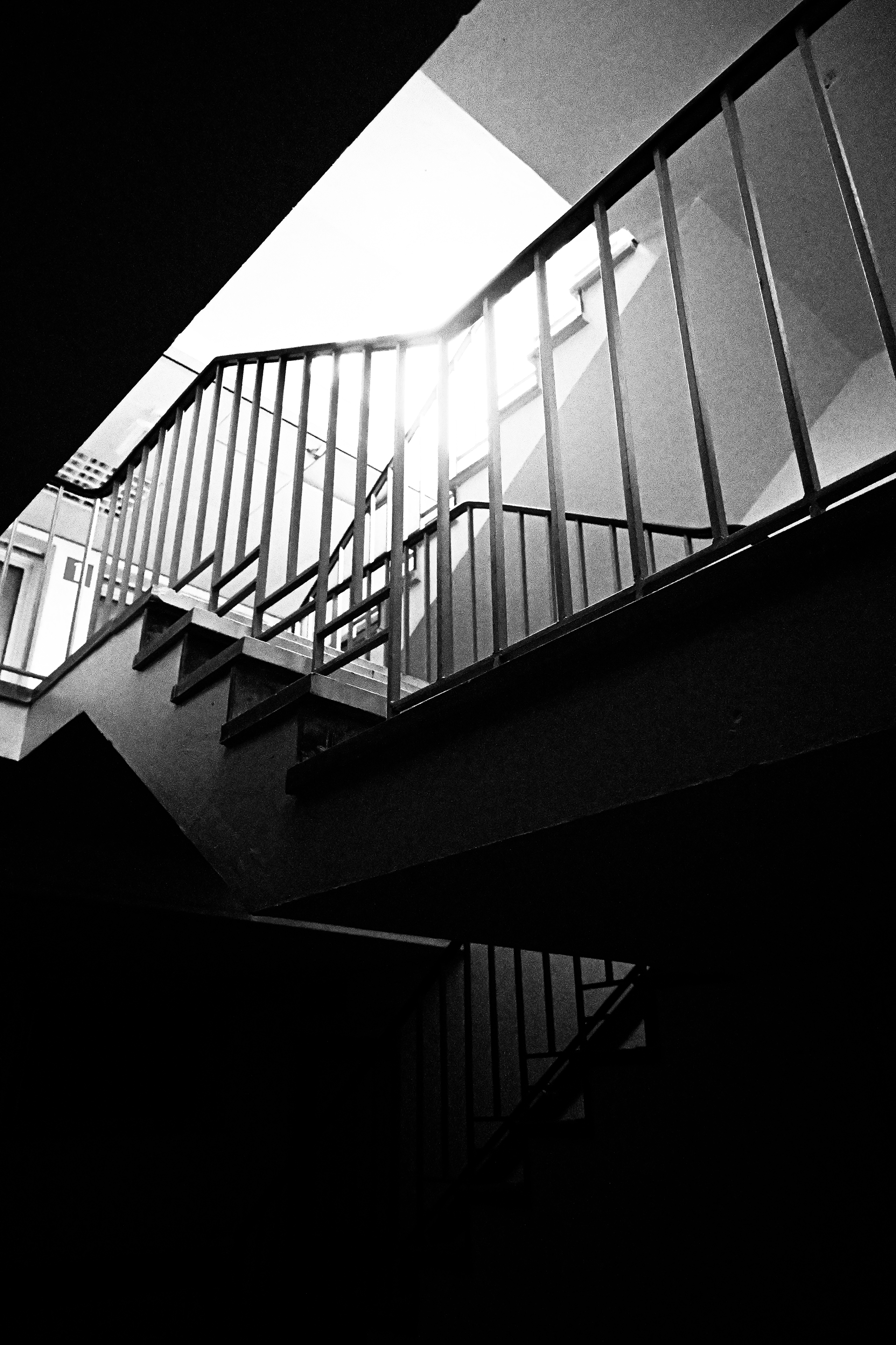 Optimist - © MAR.SEL