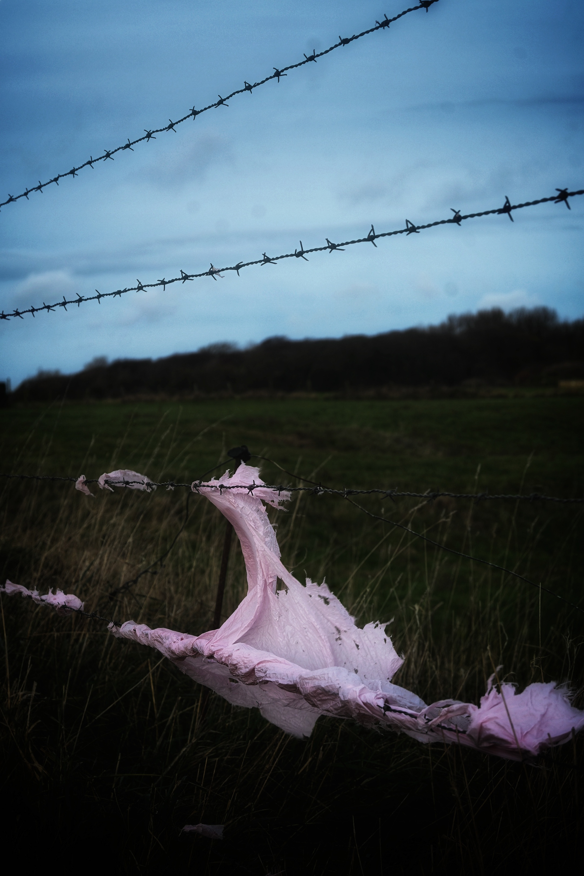 Verstrikt - © MAR.SEL