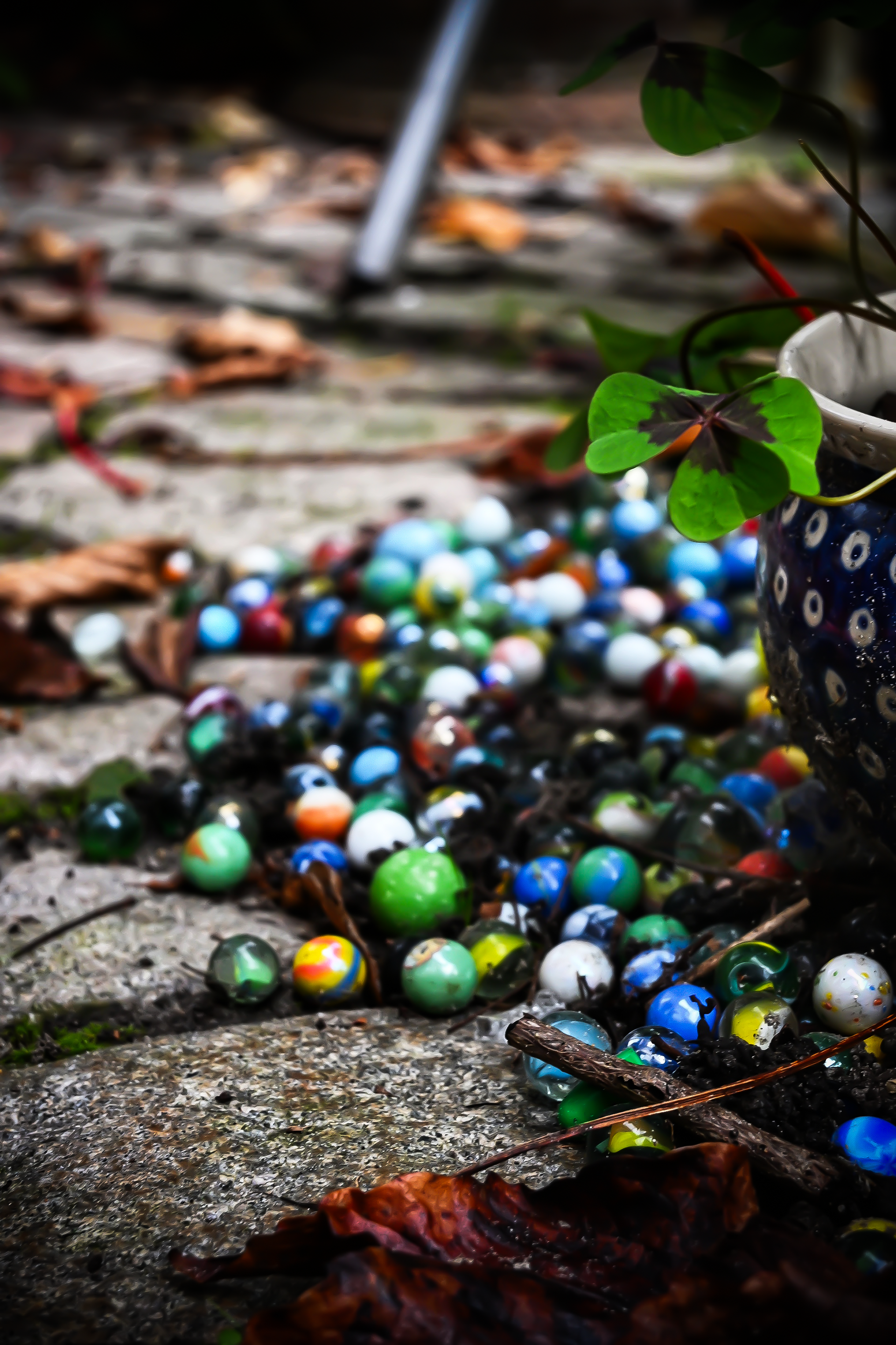 "Stop geluk in elk klein hoekje." - Loesje - Foto © MAR.SEL