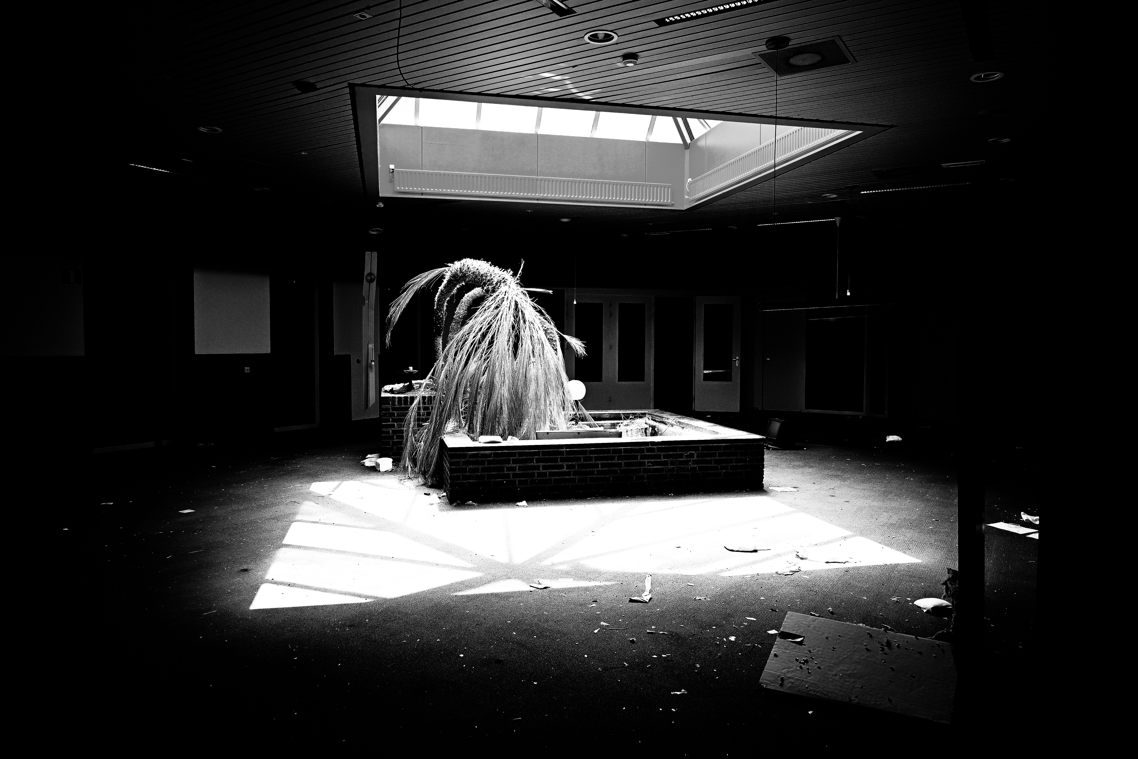 Eerbied - © MAR.SEL