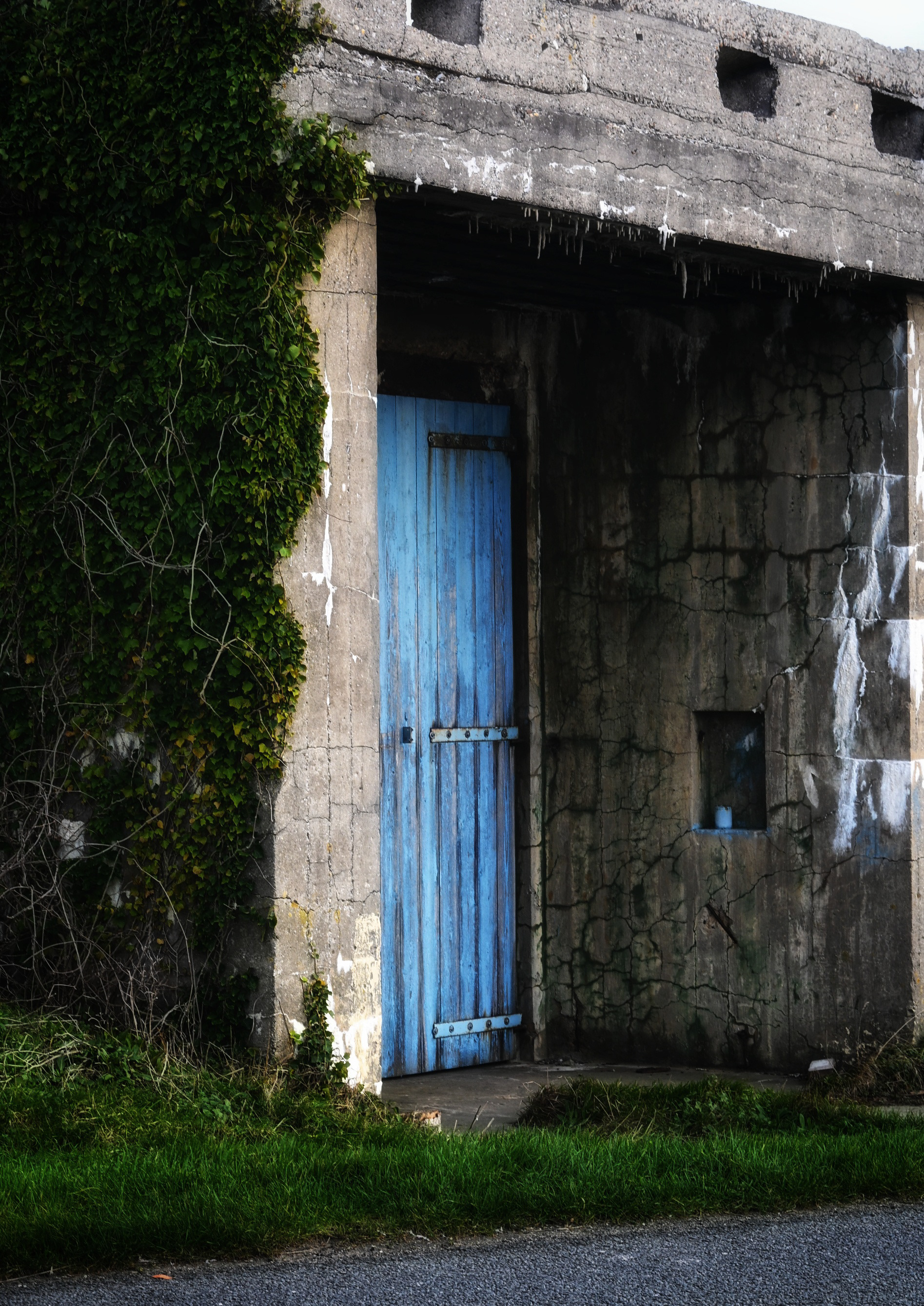 Verborgen - © MAR.SEL