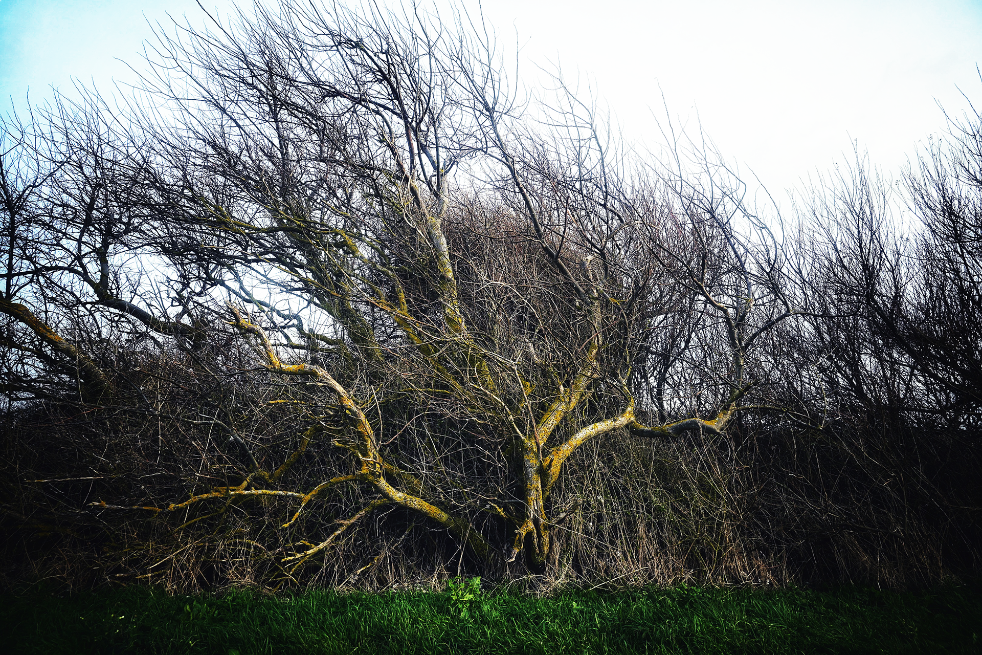 Volg de wind - © MAR.SEL