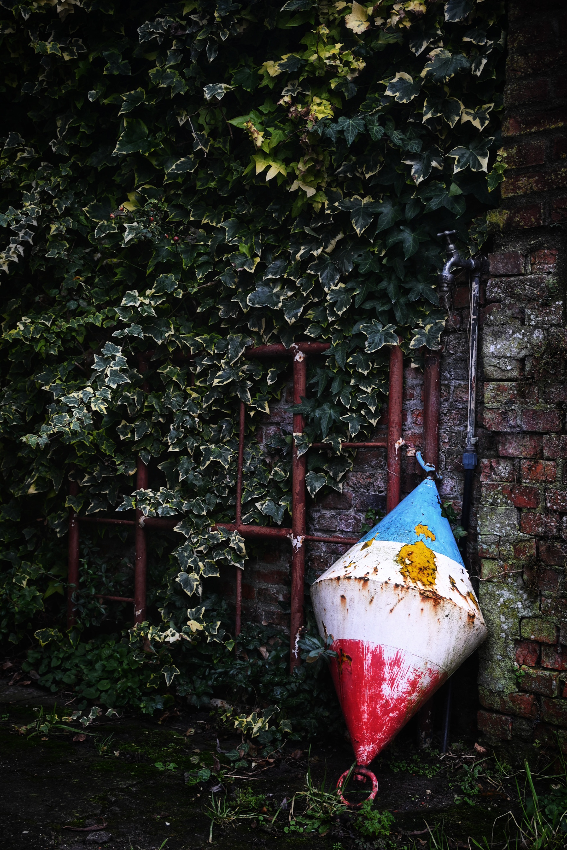 Vis op 't droge - © MAR.SEL