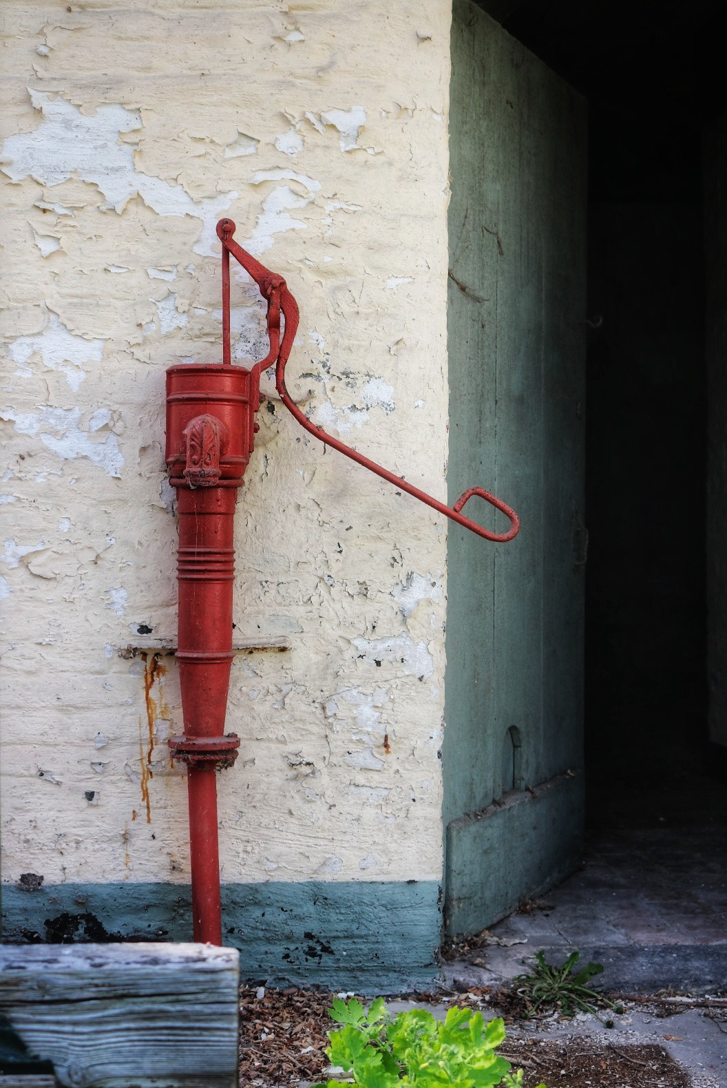 Laverne - © MAR.SEL