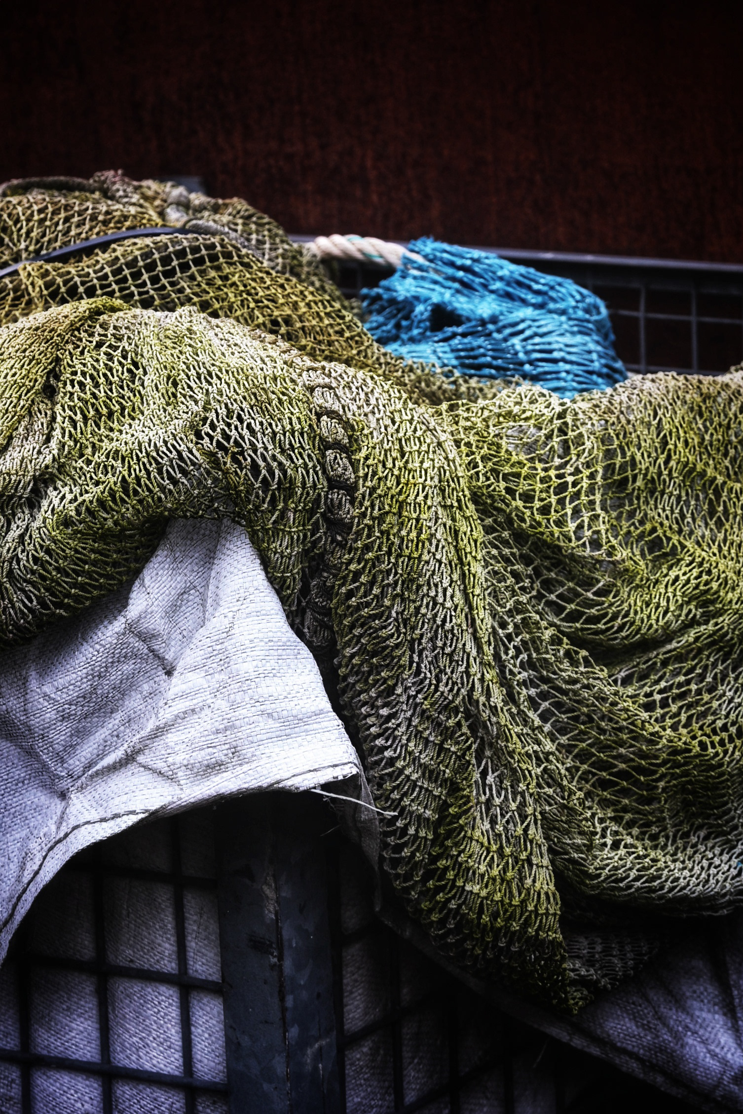 Verstrikt als vissen - © MAR.SEL