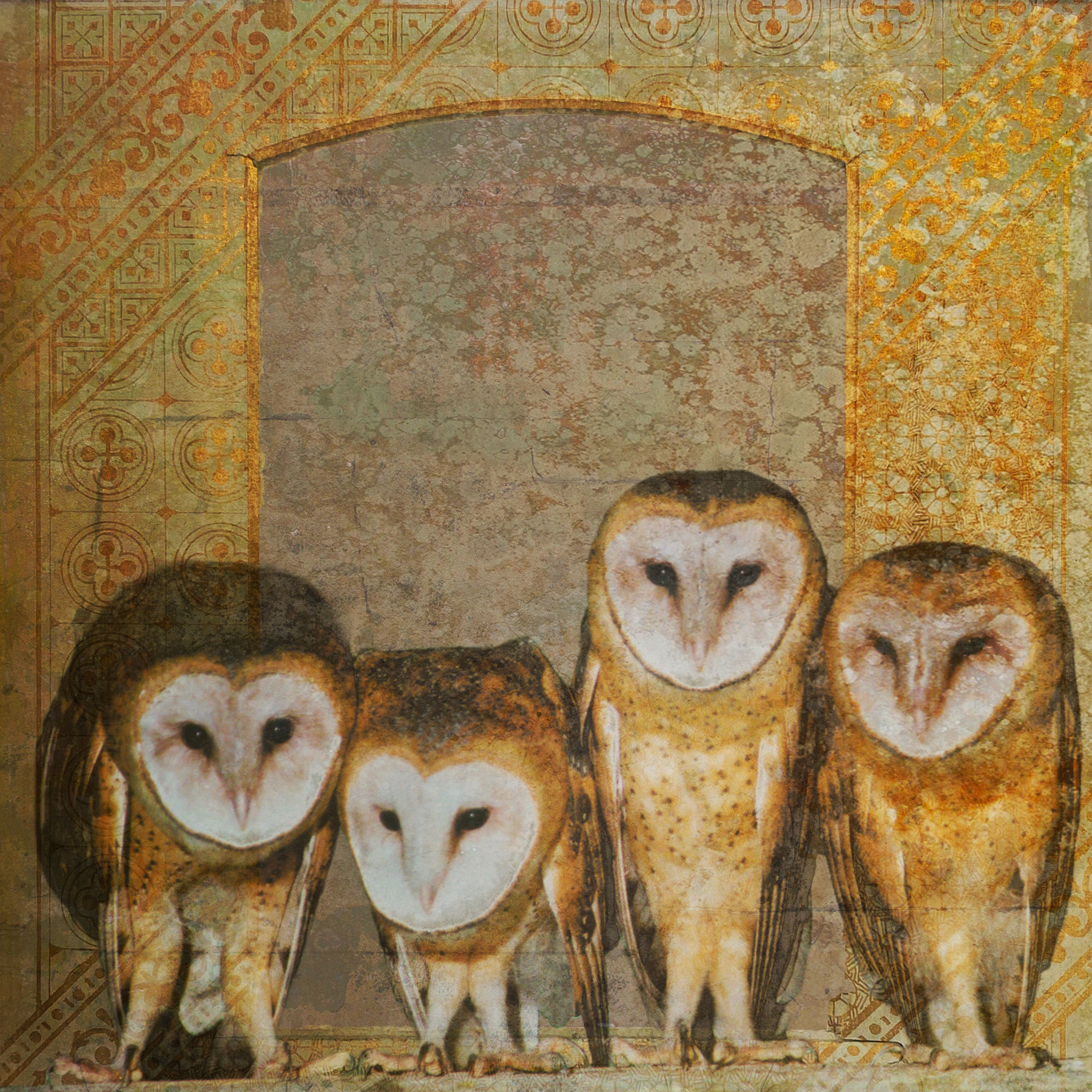 4 Owls