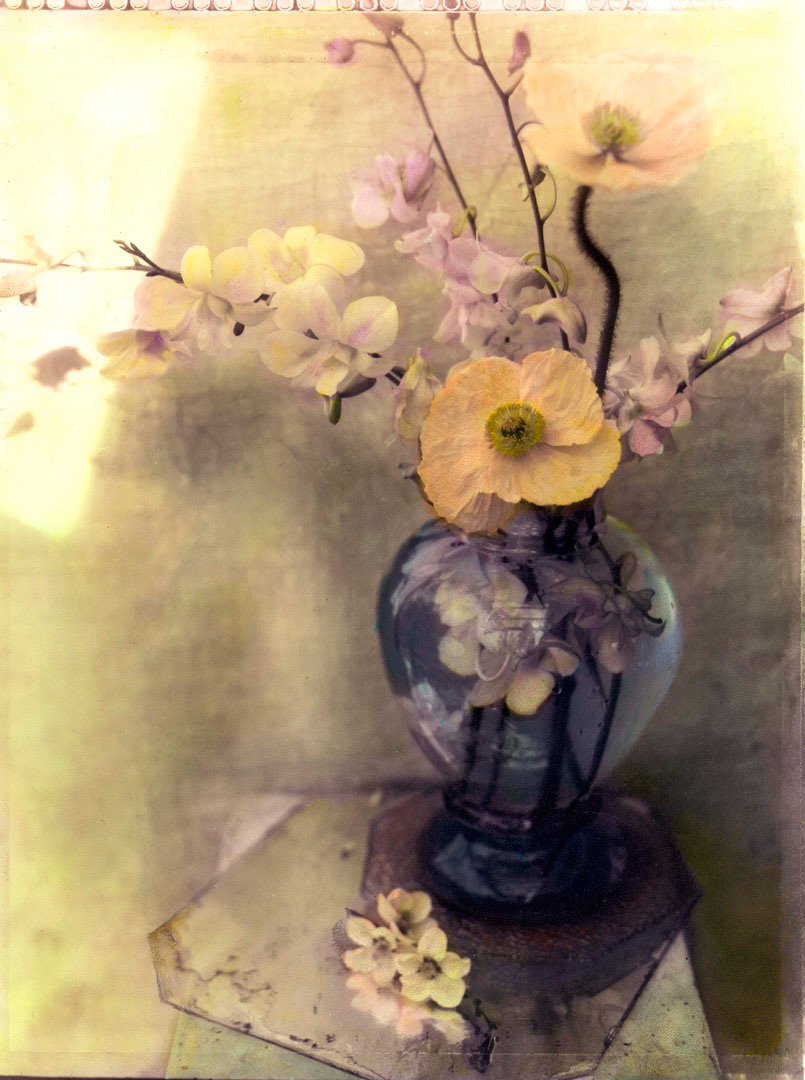 Orchid and Vase