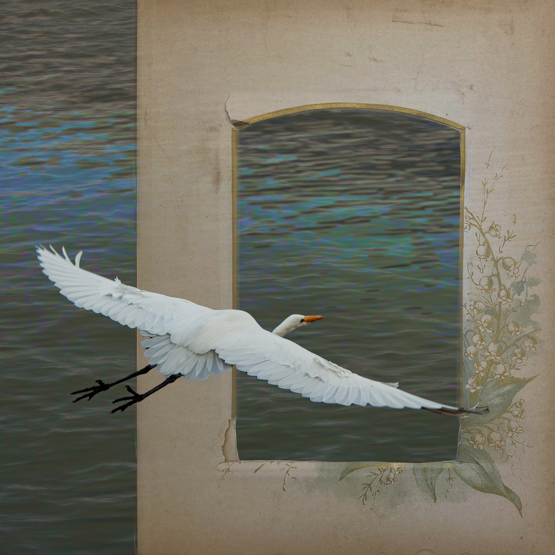 Flying Egret