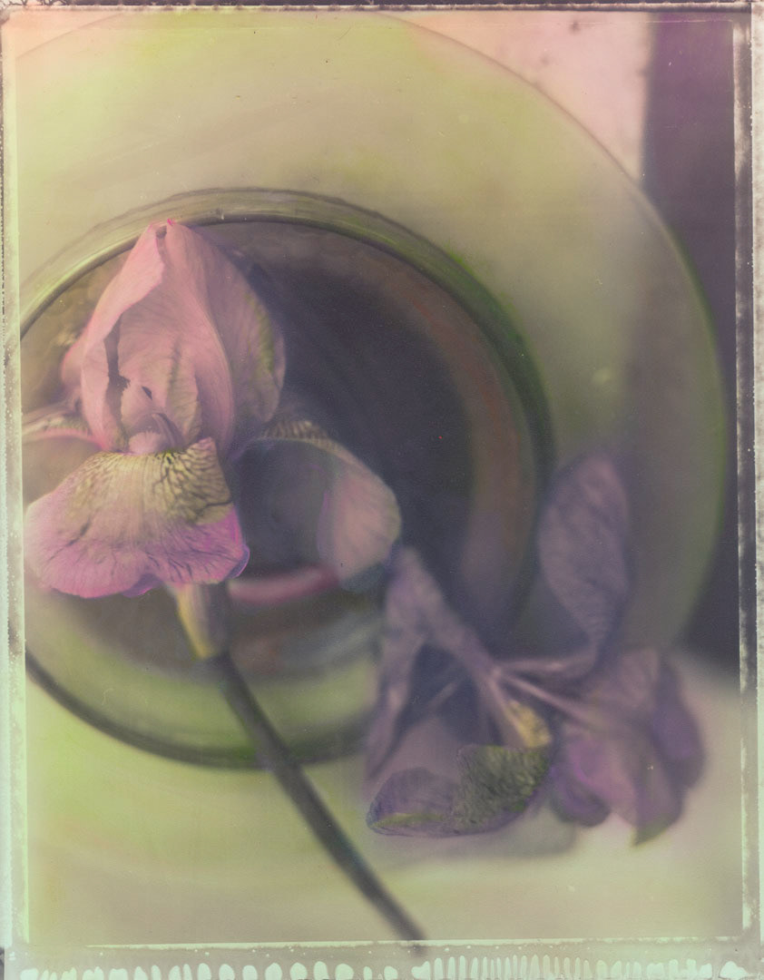 Irises