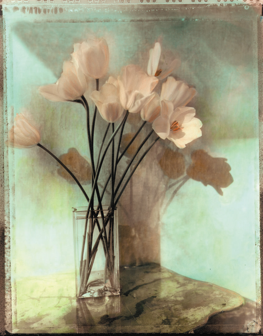 Tulips - Vase