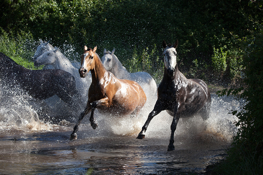 Running Through Water
