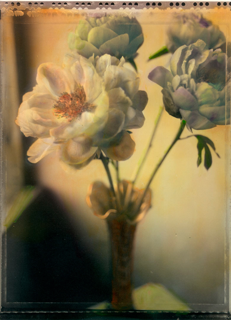 Peonies