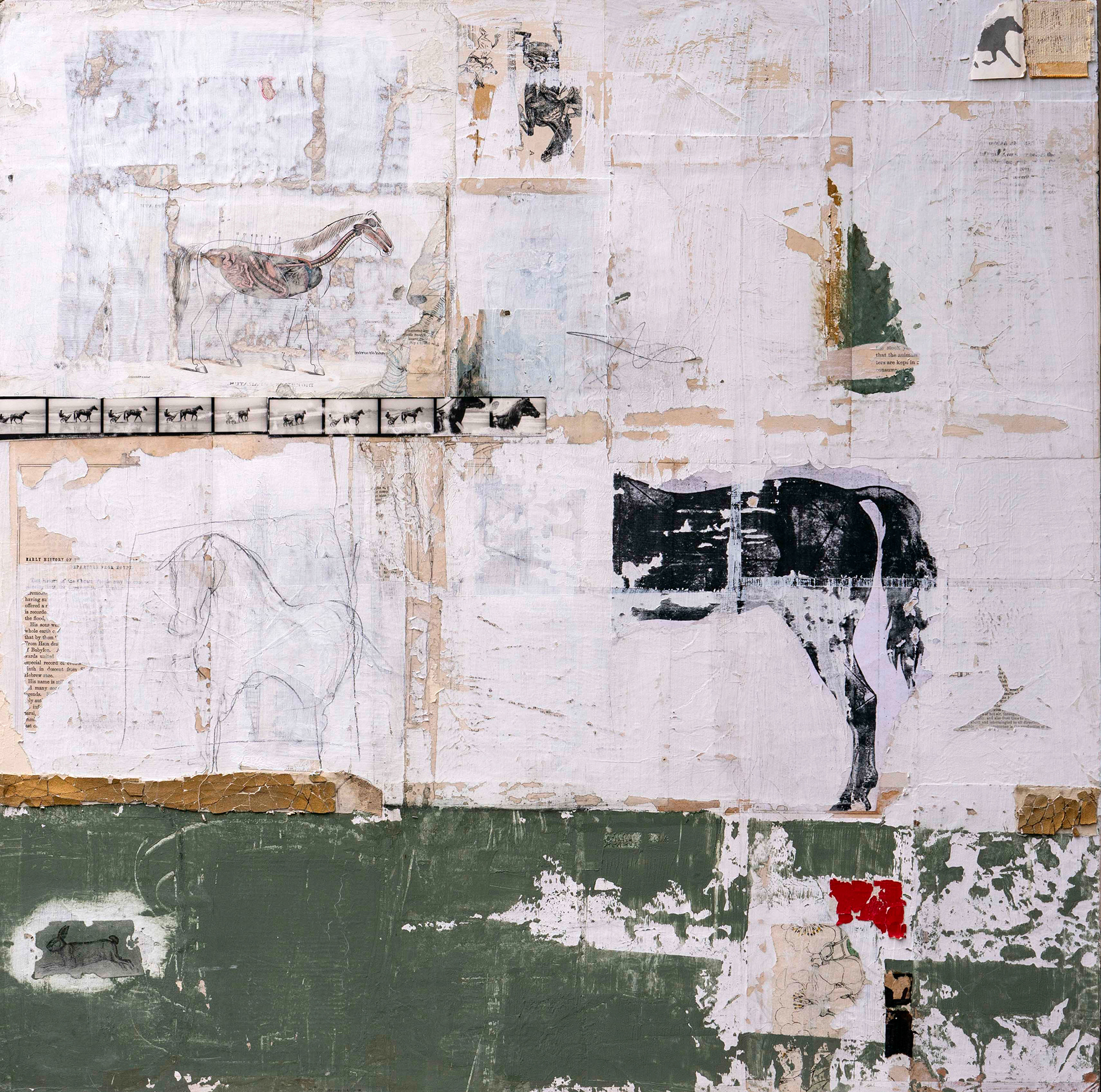 Equine (sold)