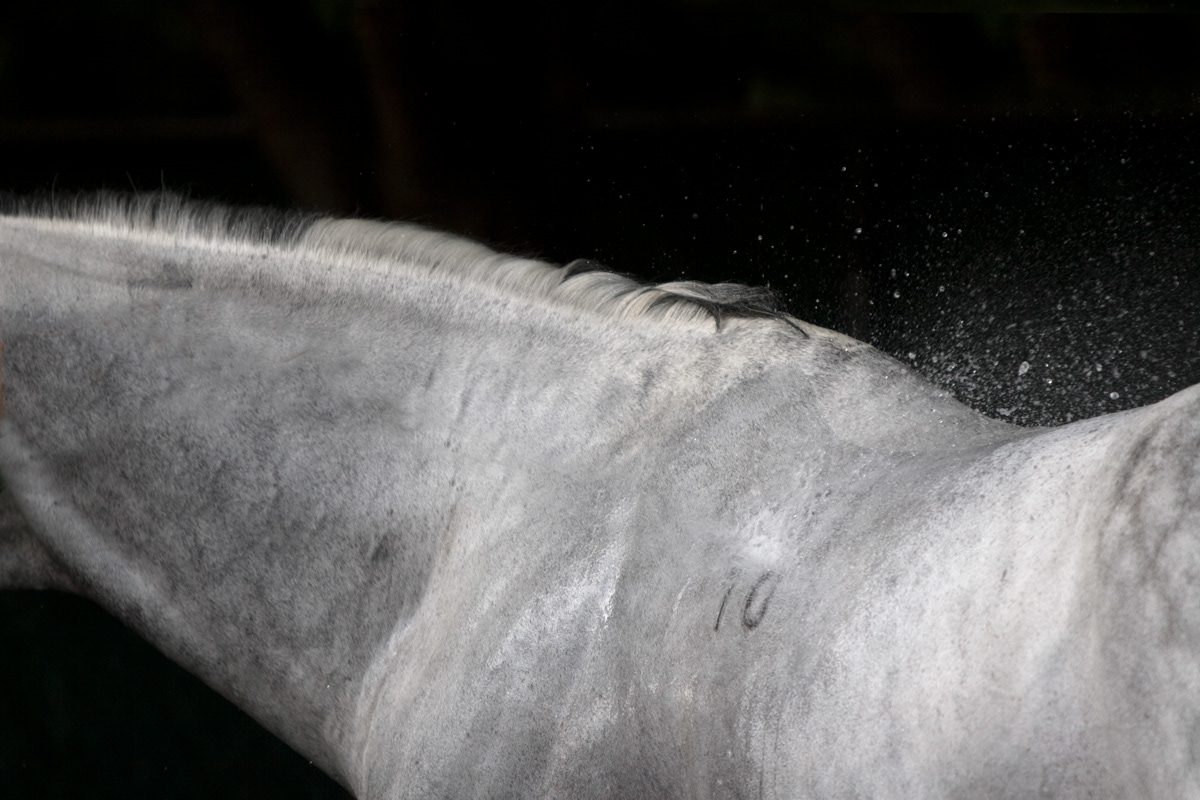 VERY WET