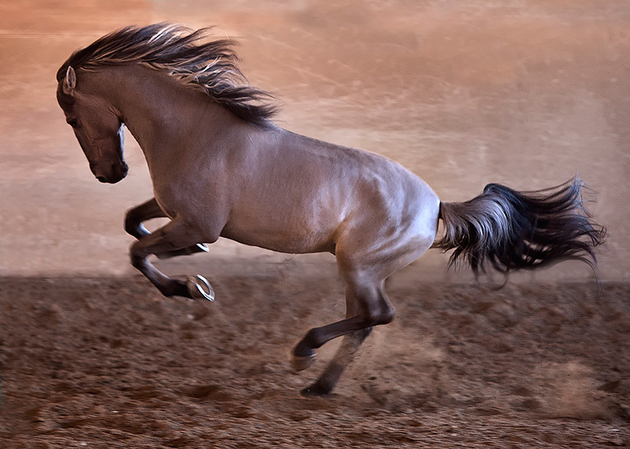 Portugal - Beethoven