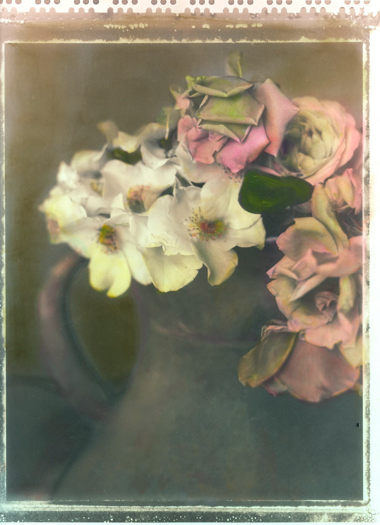 Sally Holmes - Old Pitcher