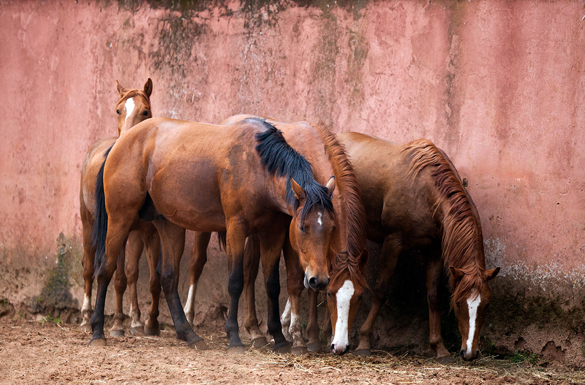 Group of Youngsters