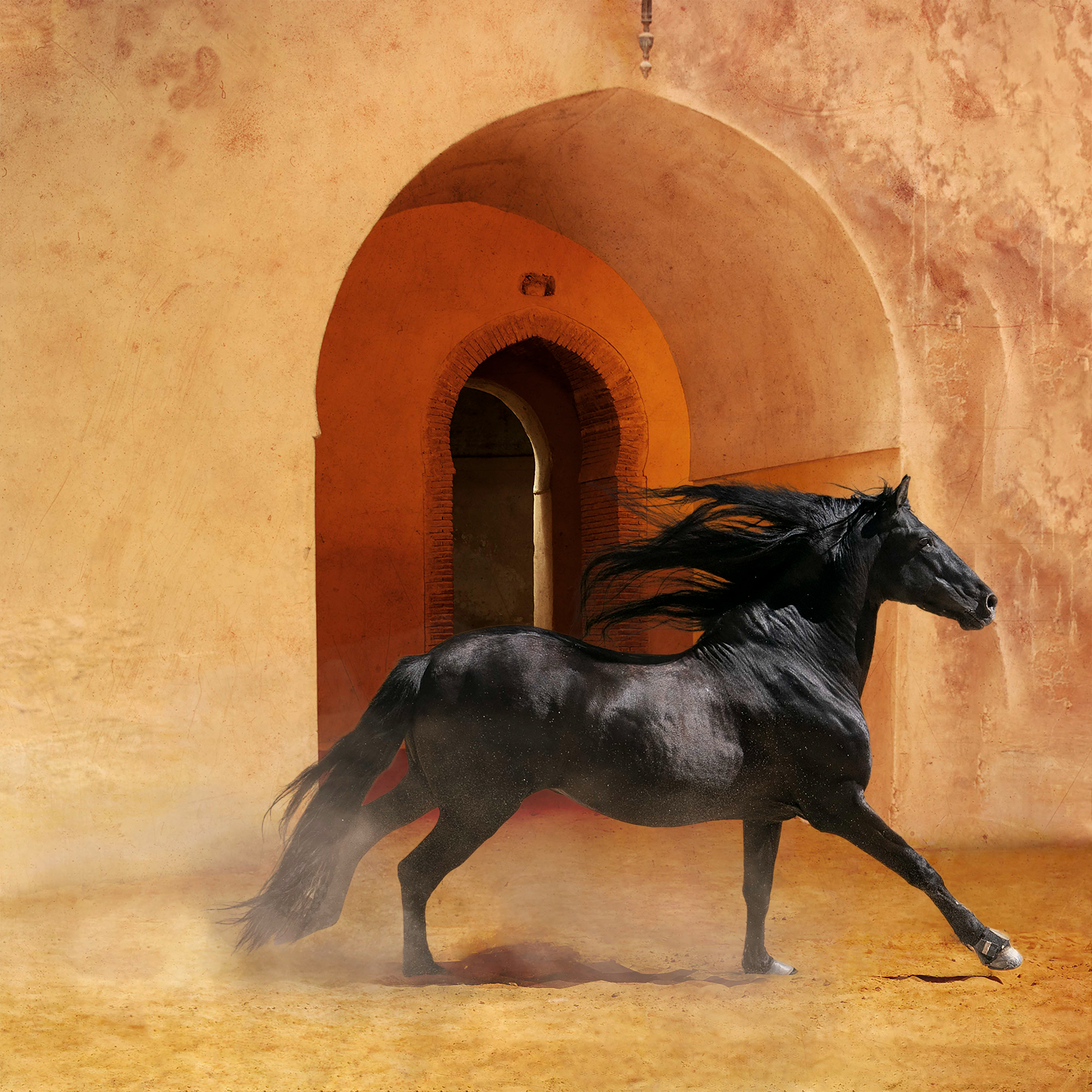 Royal Stables - Meknes