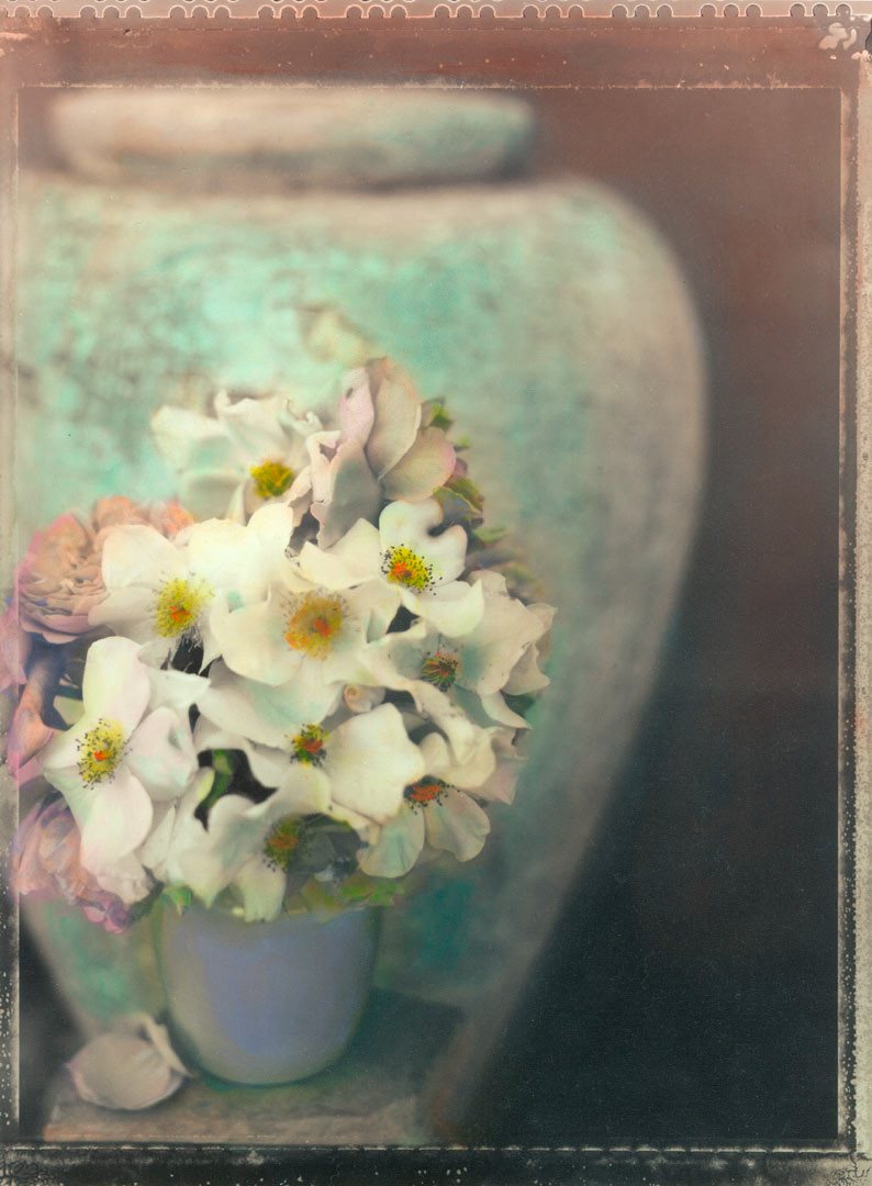 Sally Holmes - Roses-Urn