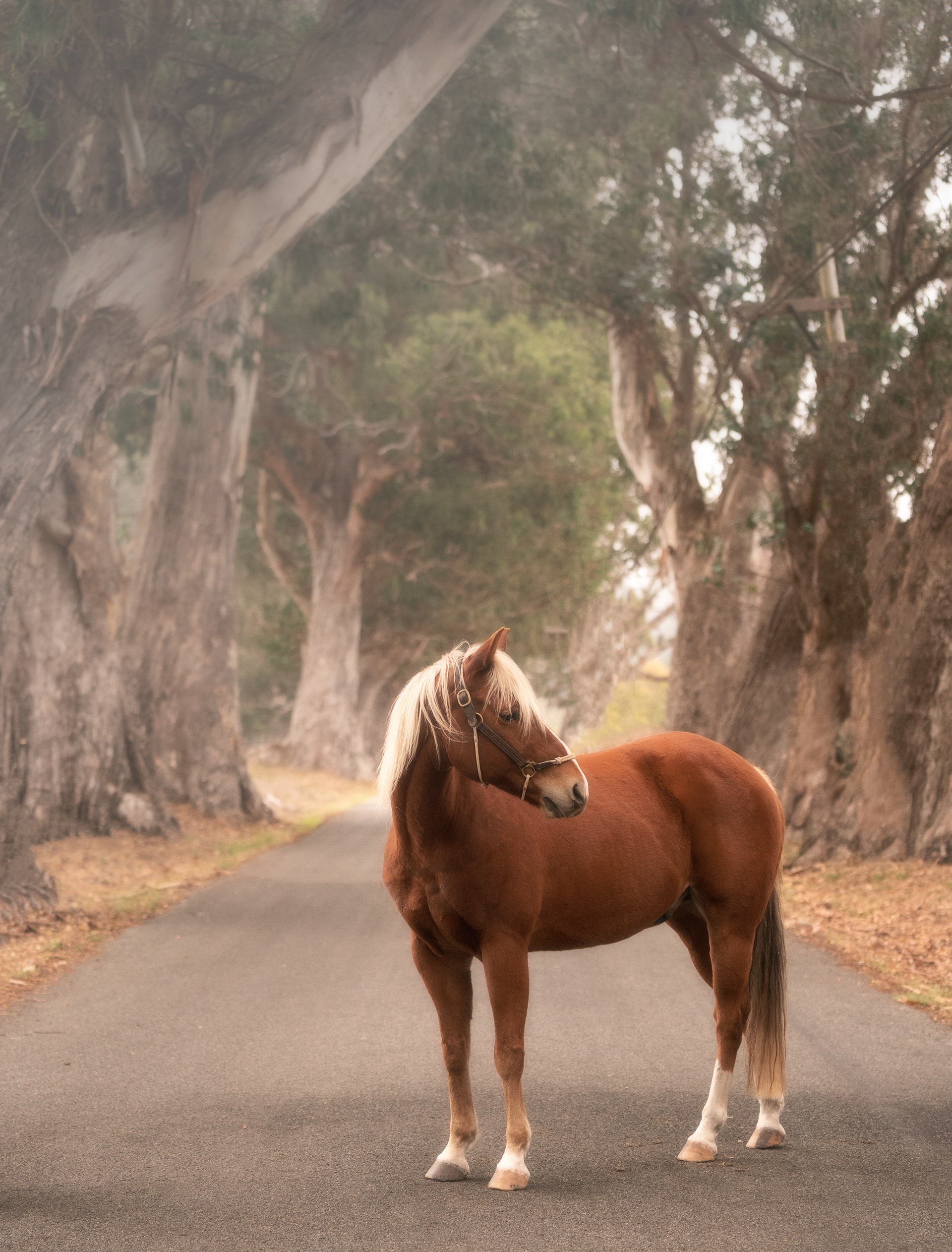 Twinkle - On the Road