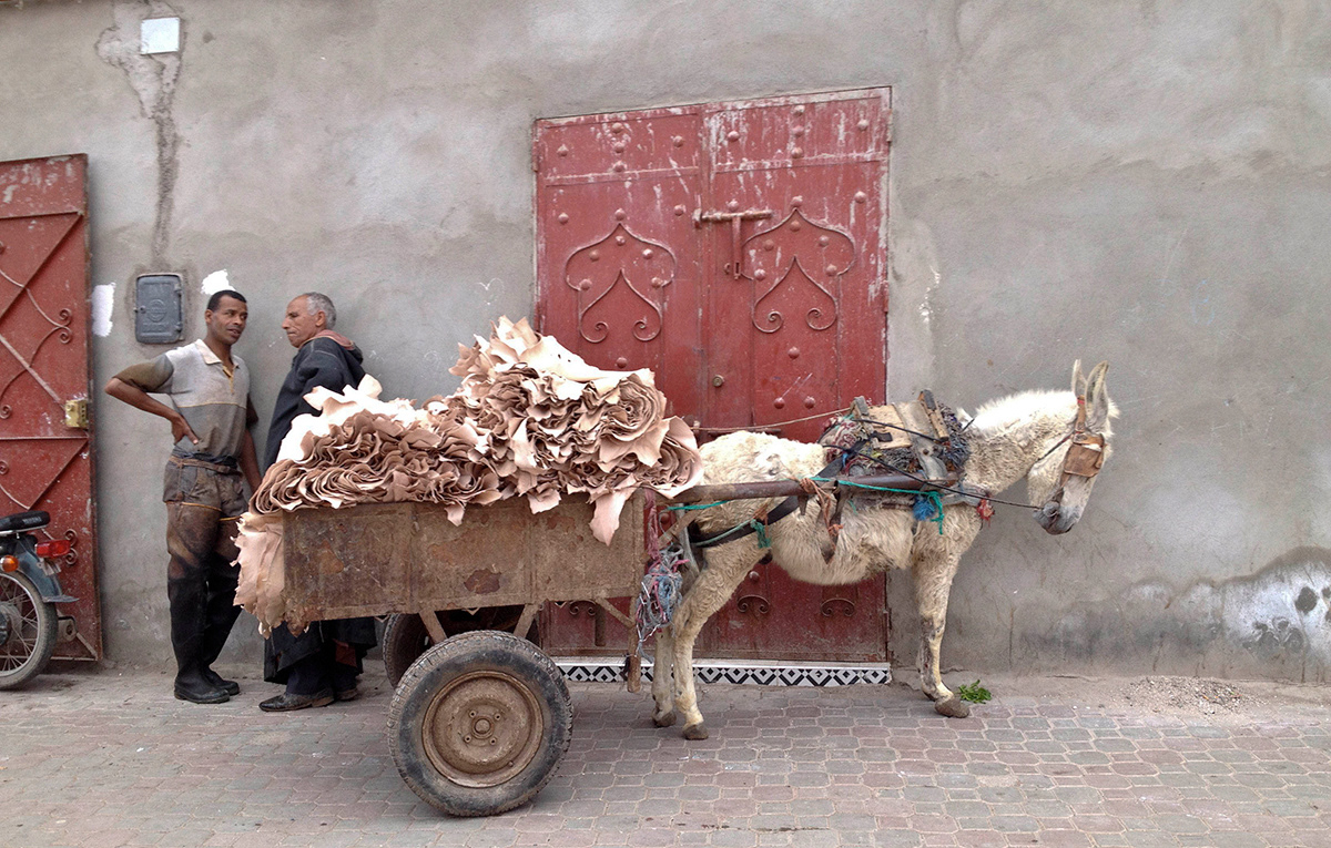 Donkey in the Market