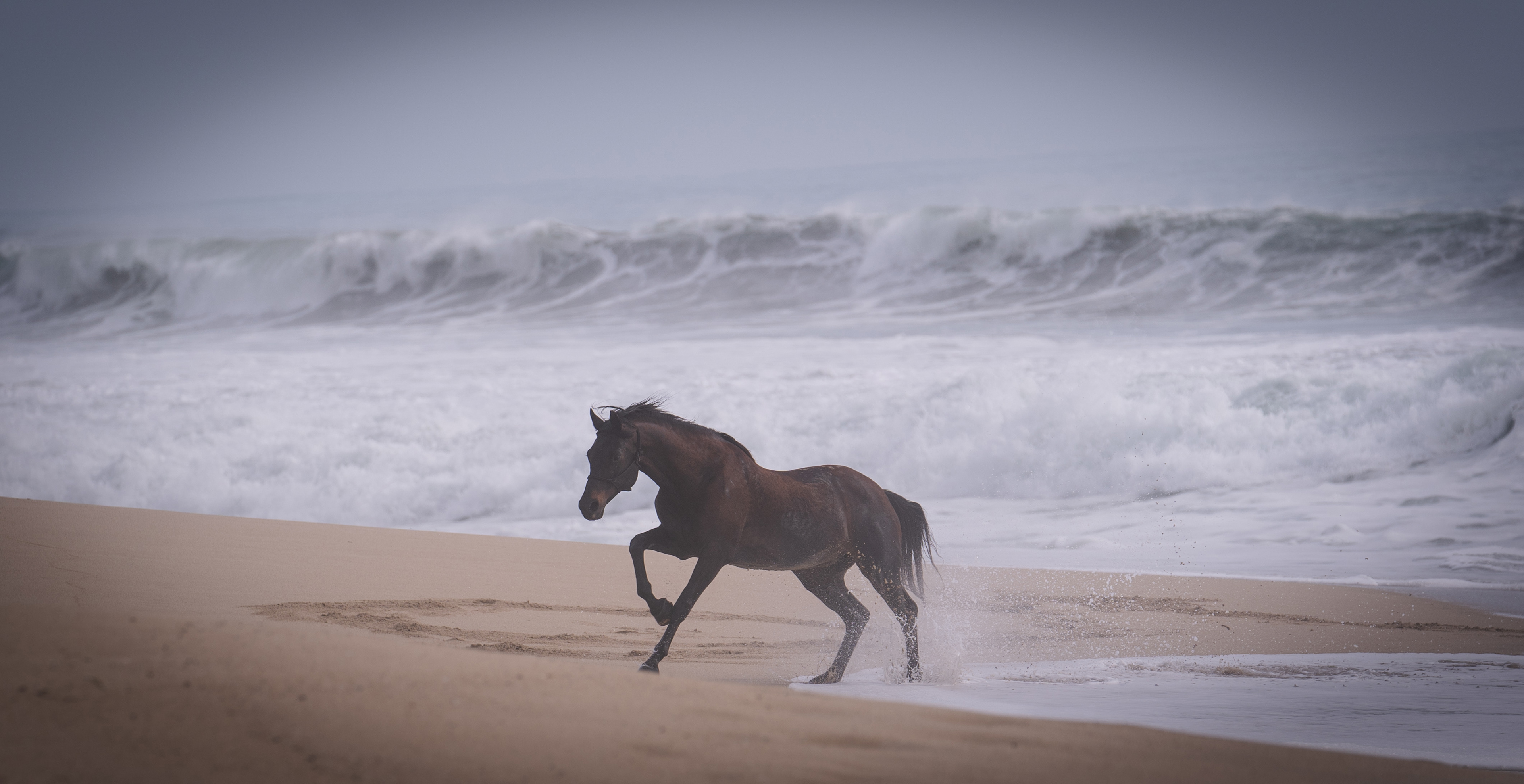 Favorite Beach