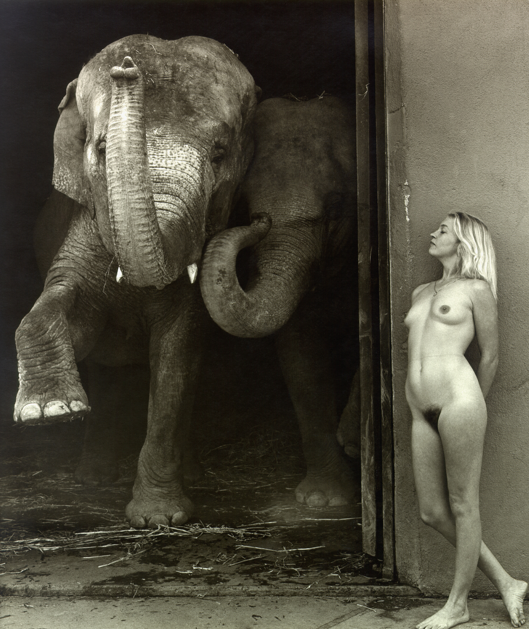 Sharon - Two Elephants