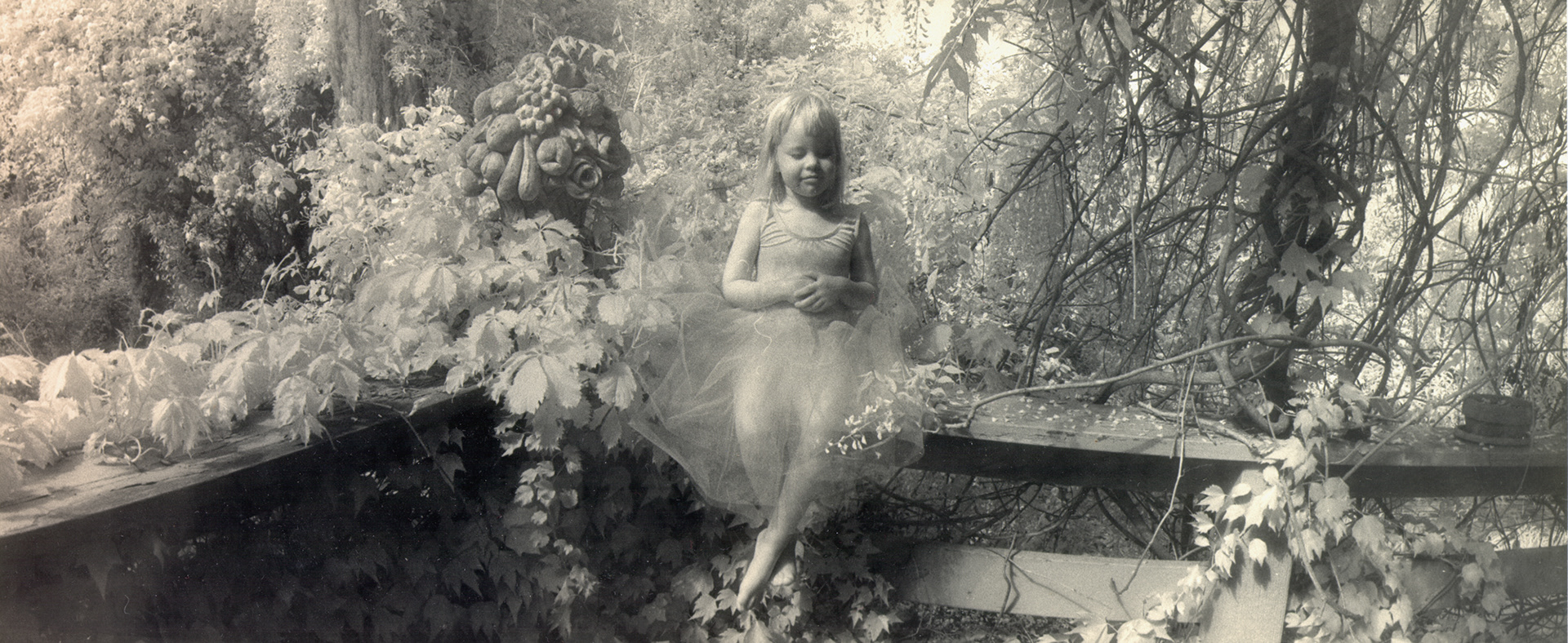 Manette - Brent's Garden